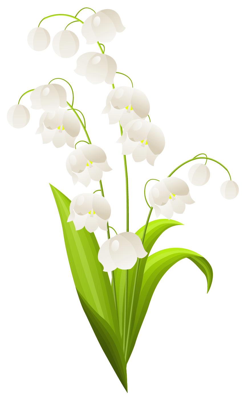 lily of the valley border clip art