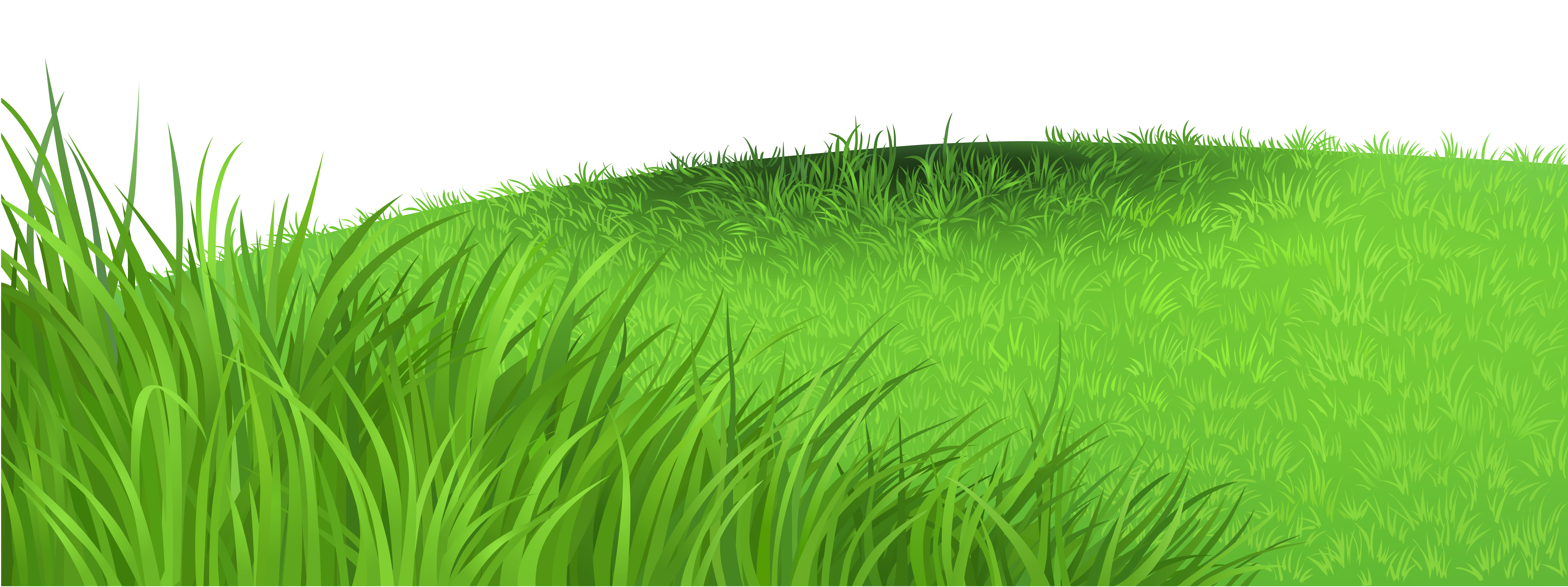 grass background clipart