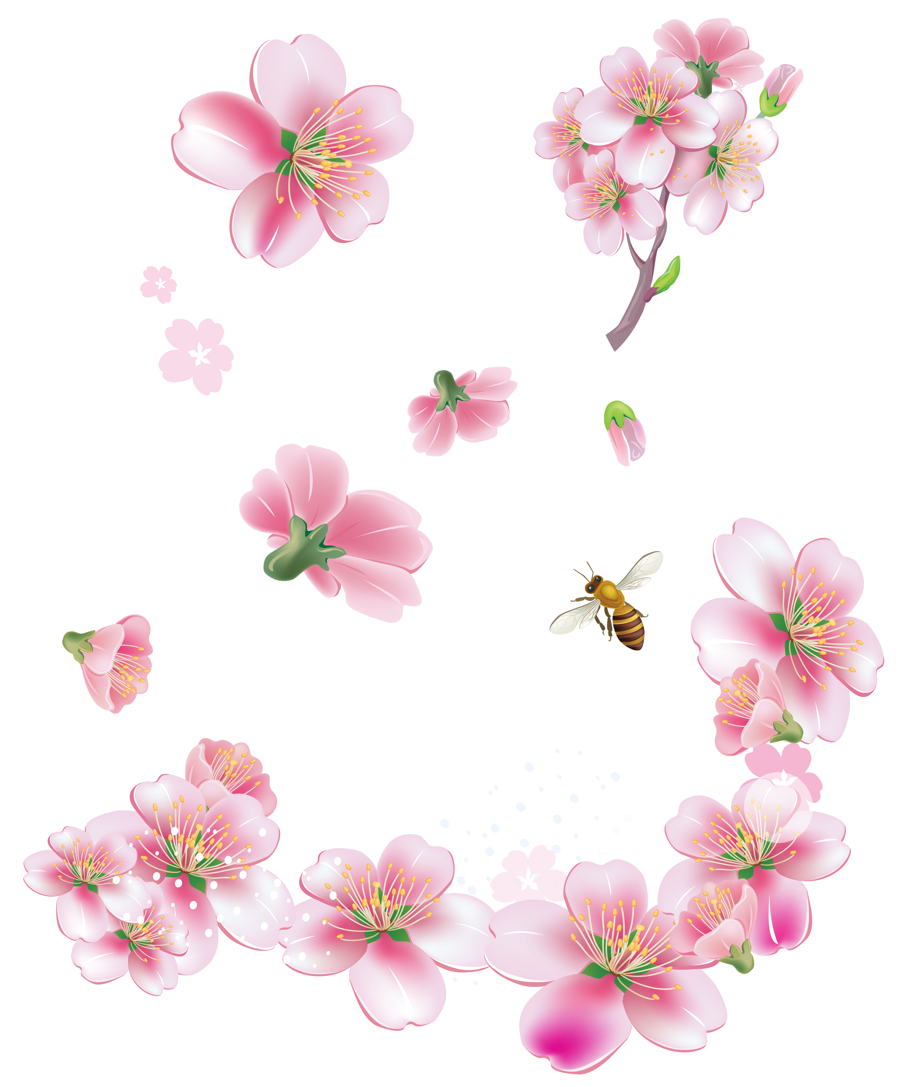 clipart spring flowers border