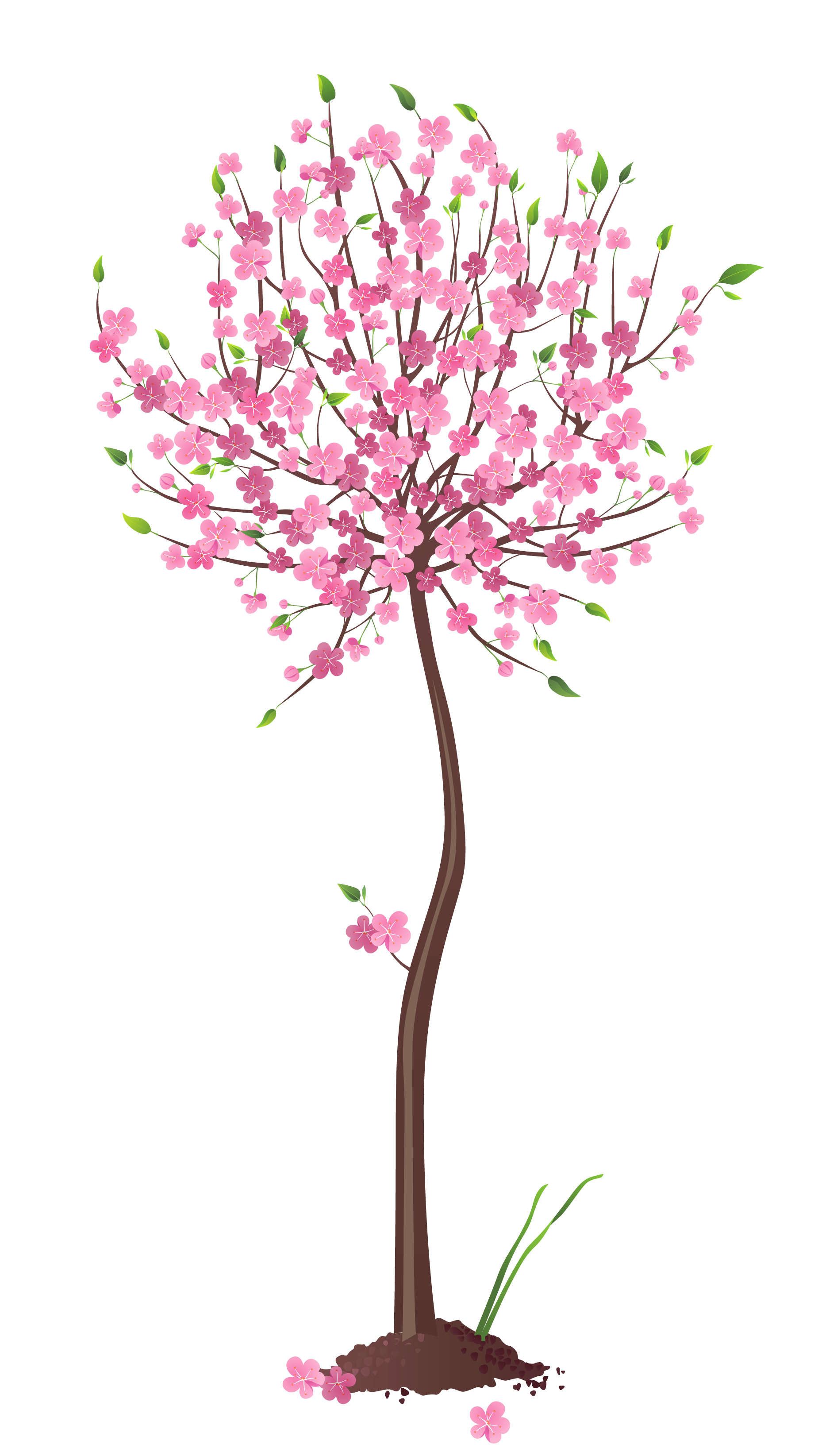 spring tree clipart images