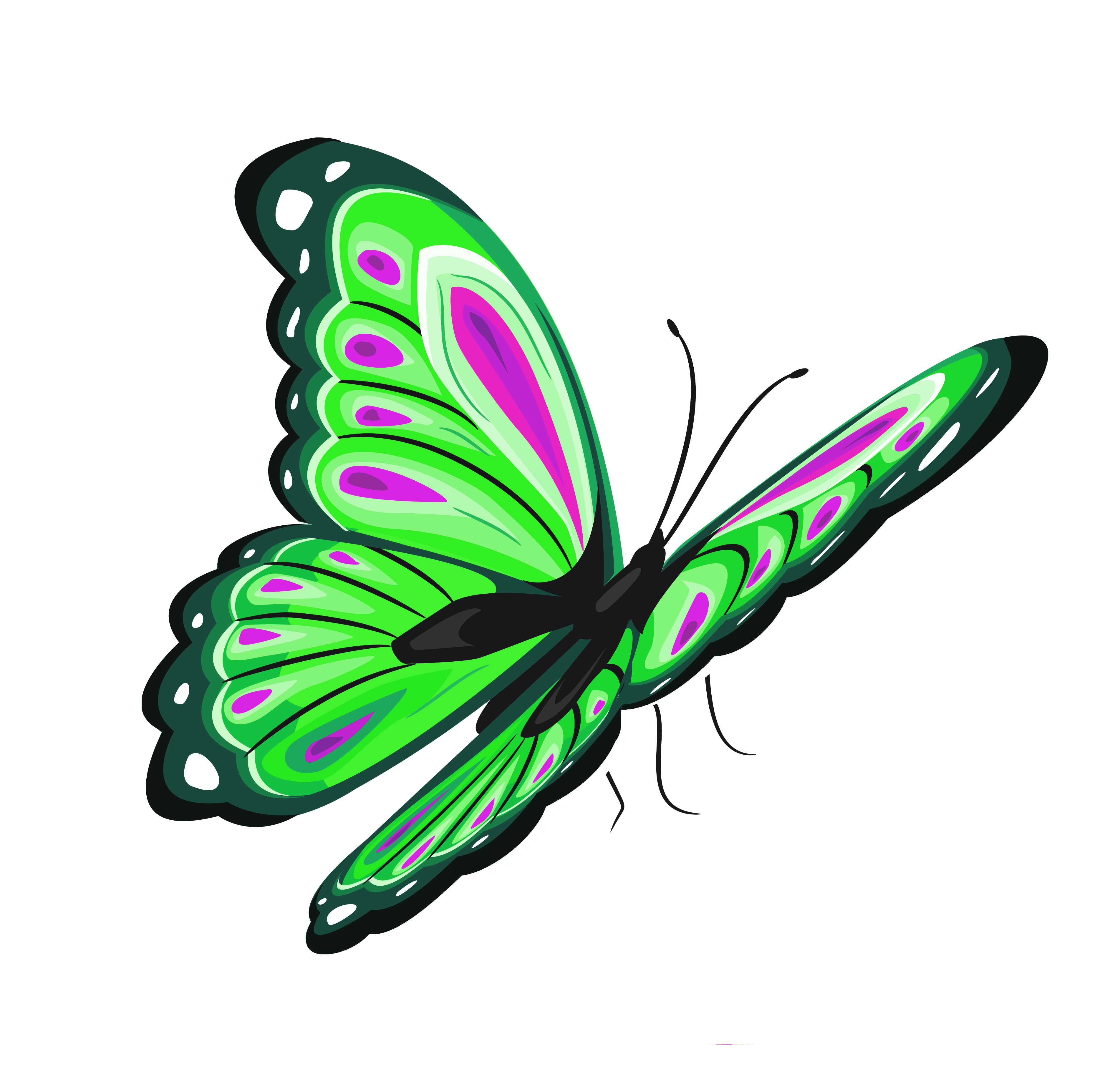 purple and green butterfly clipart