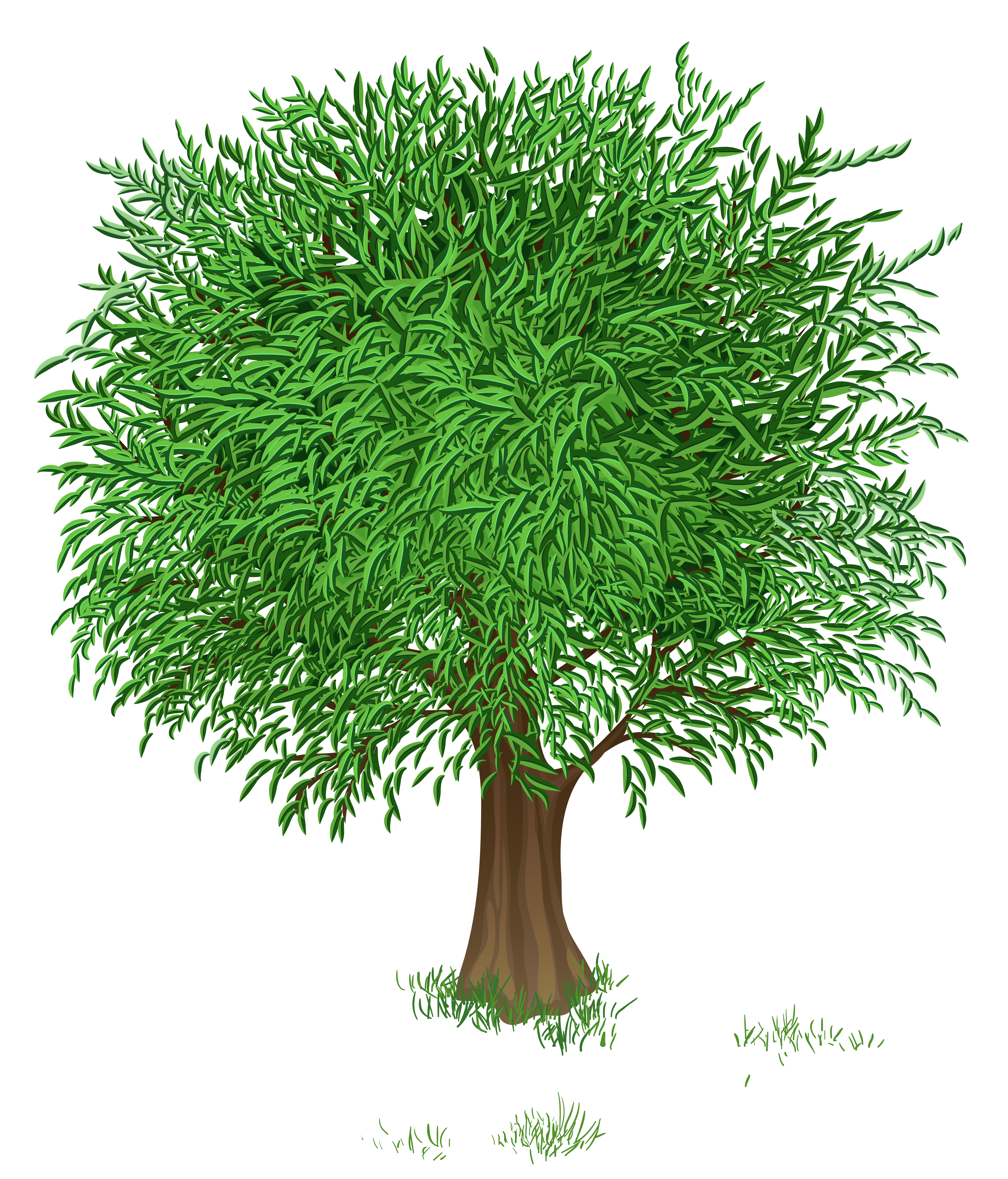 Green Tree Transparent PNG Clipart Picture​ | Gallery Yopriceville -  High-Quality Free Images and Transparent PNG Clipart