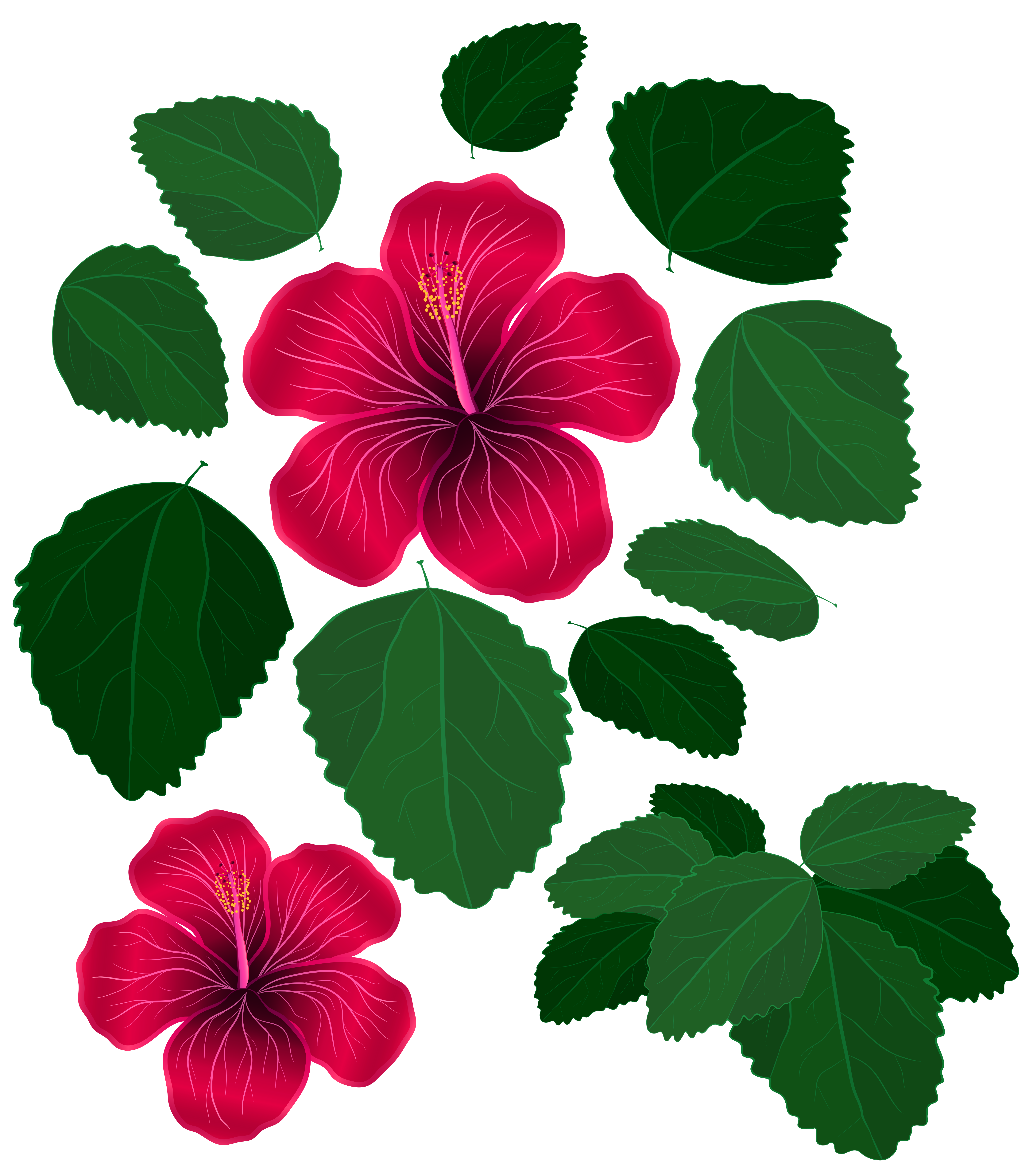 flower leaves clipart