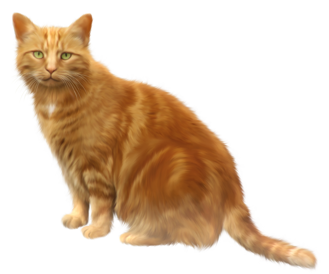 orange cat clipart