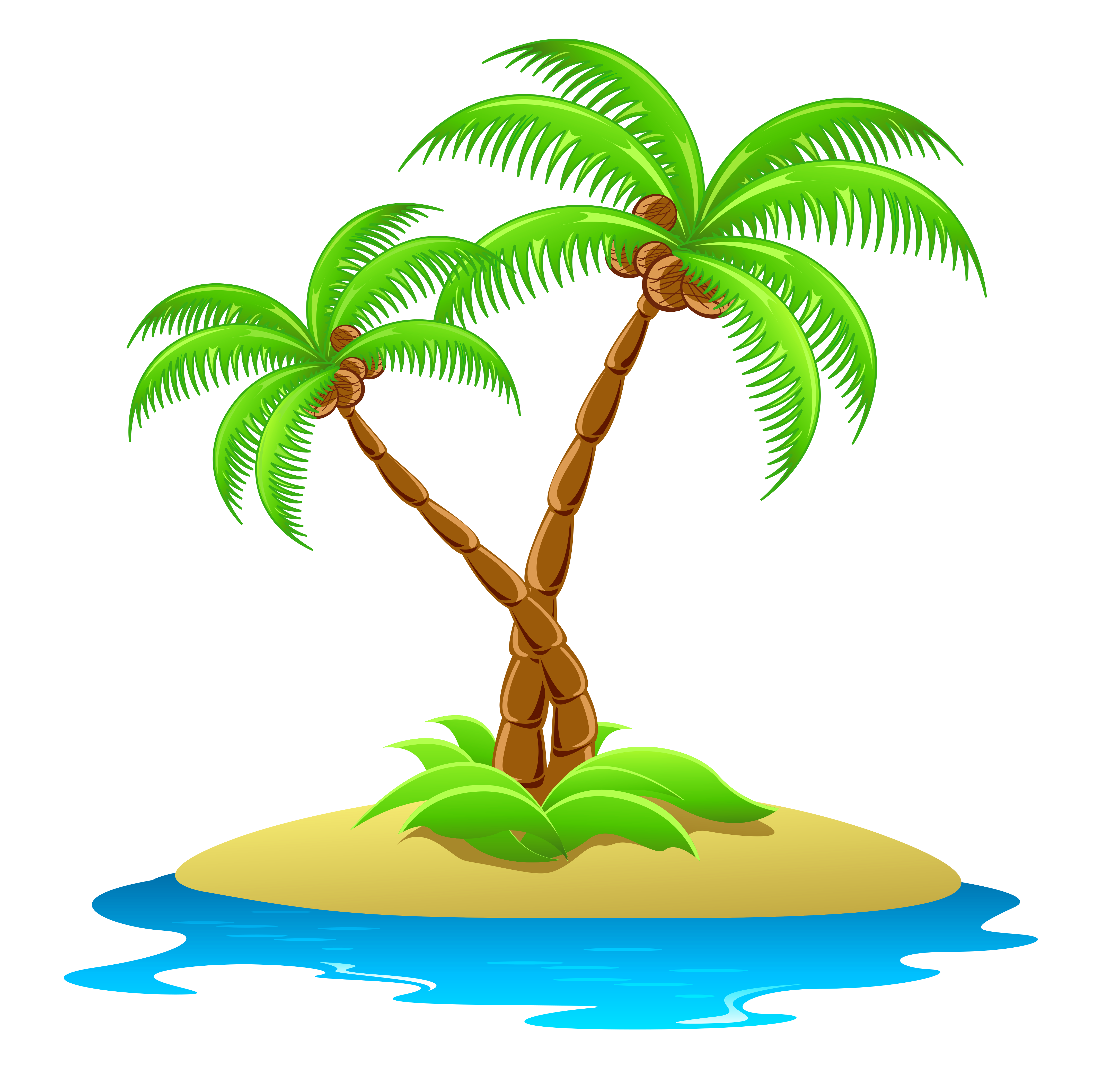 palm tree transparent background