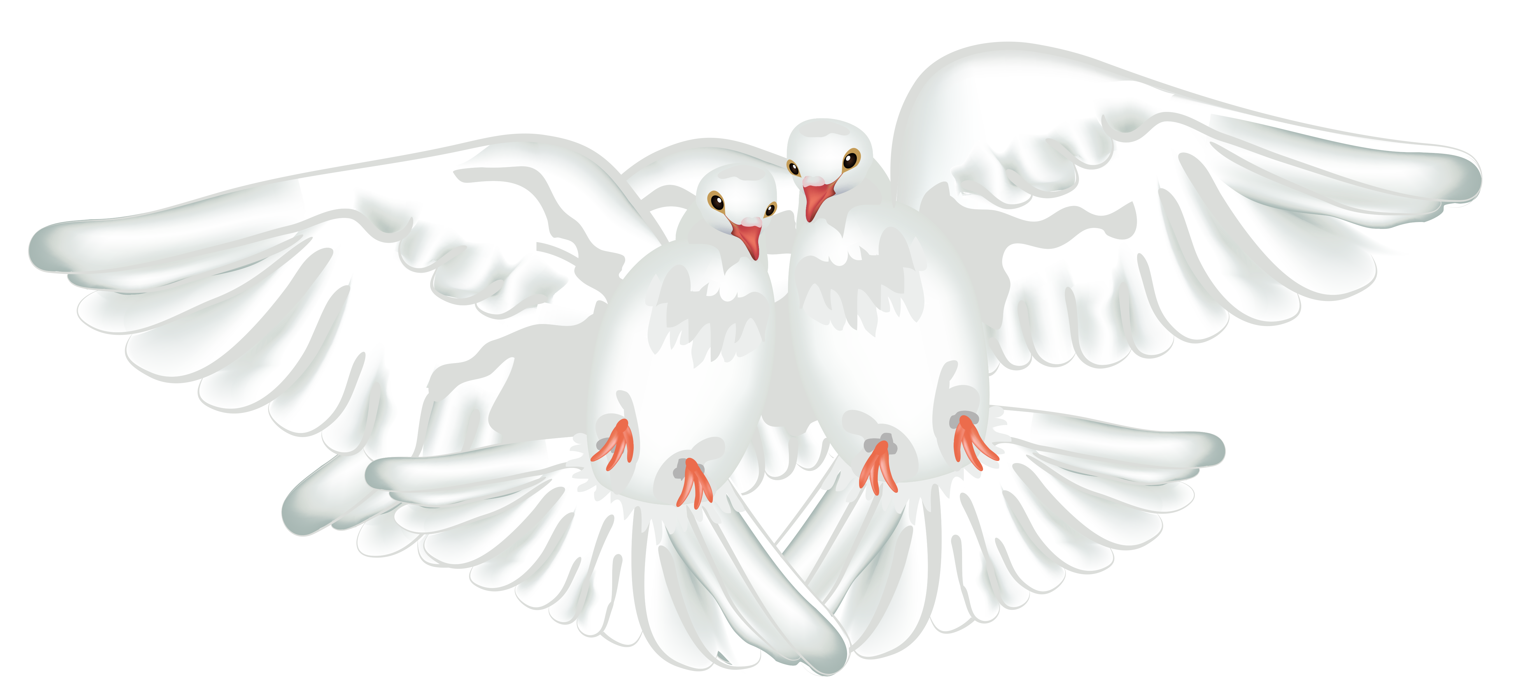 wedding dove clipart