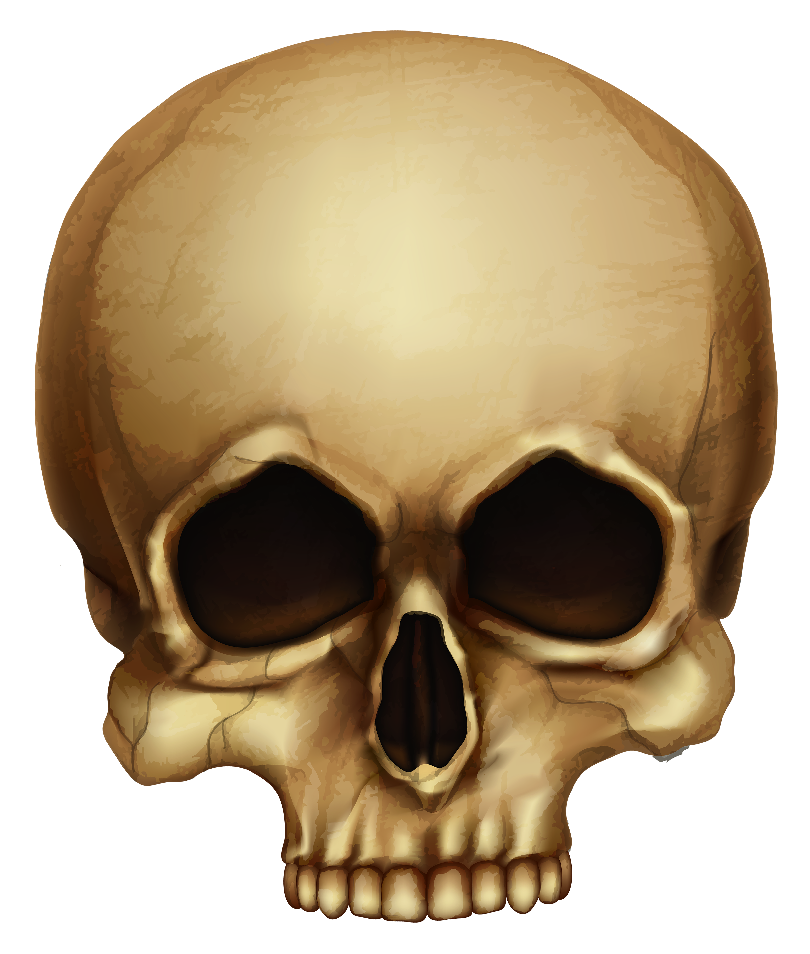 scary skull png