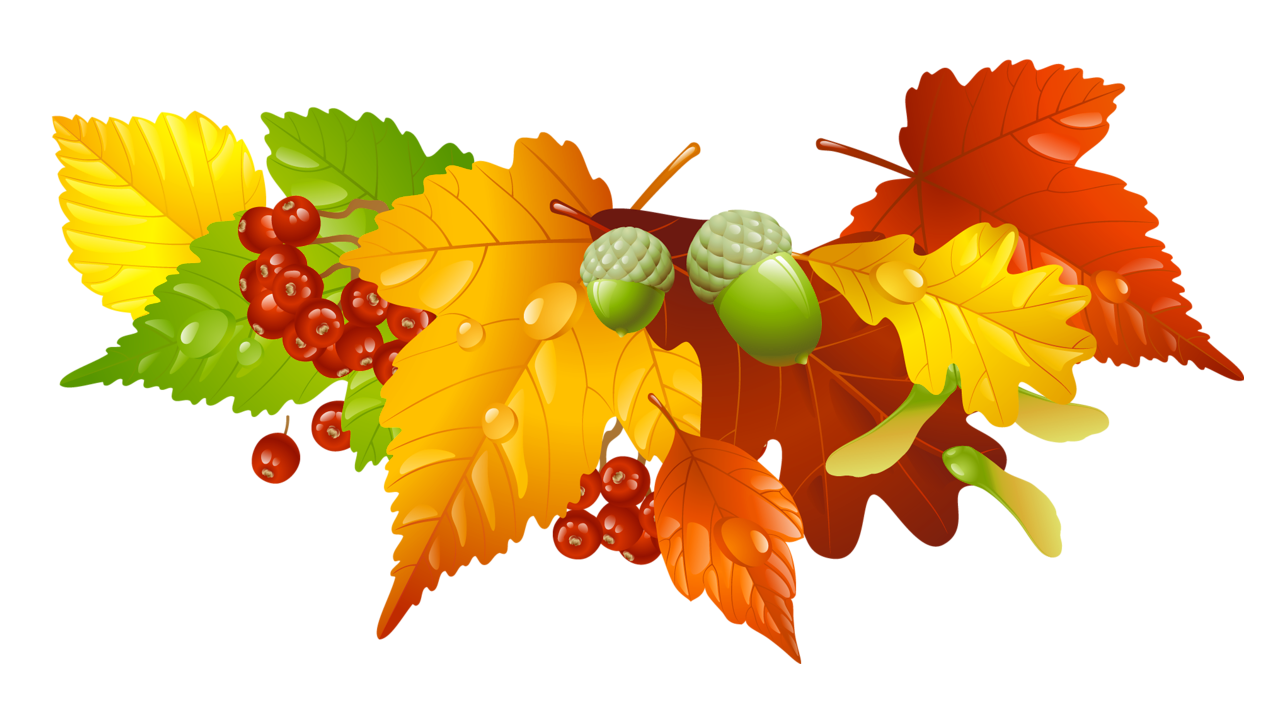 acorns and leaves clip art