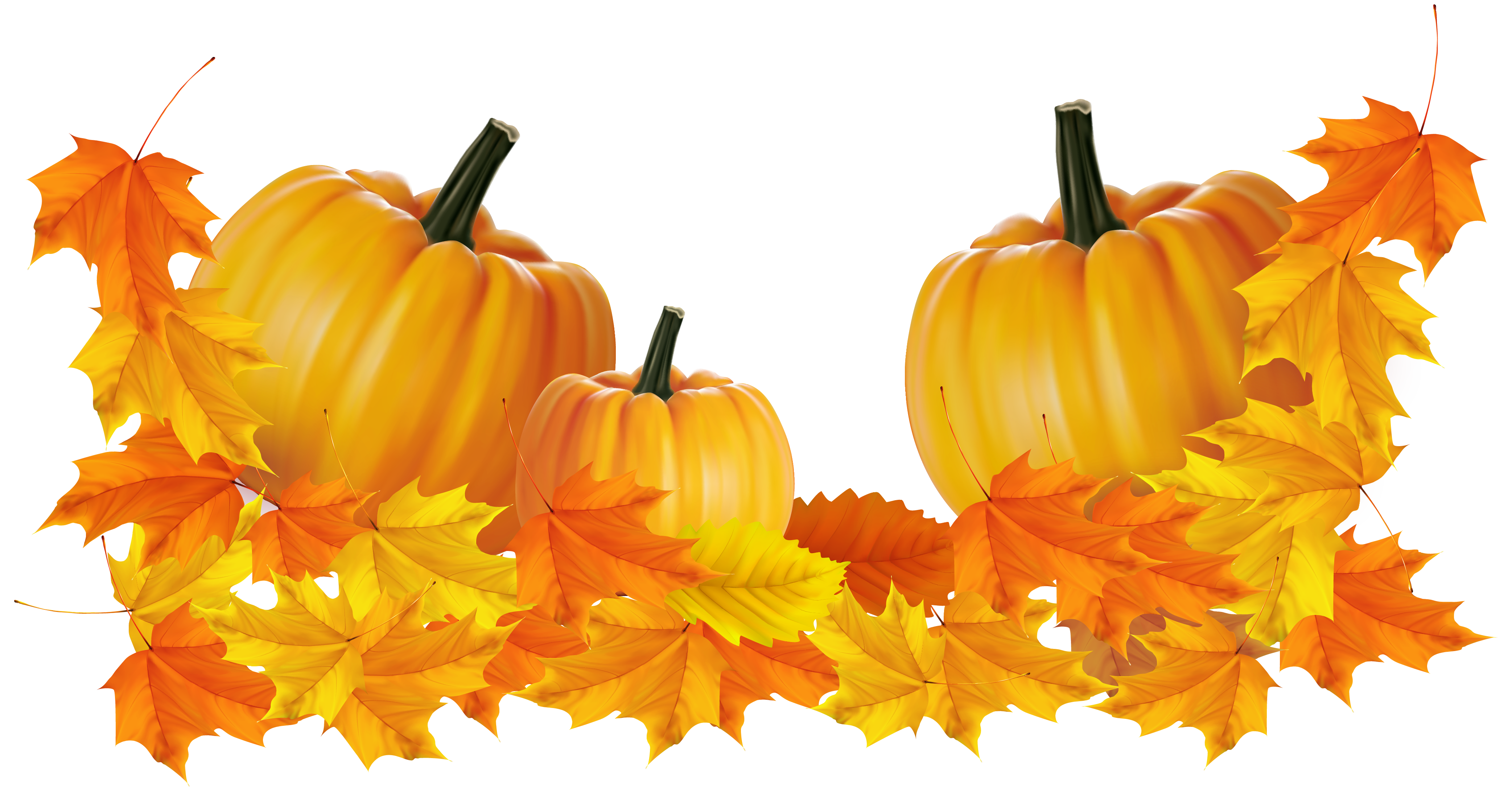 thanksgiving pumpkins clipart