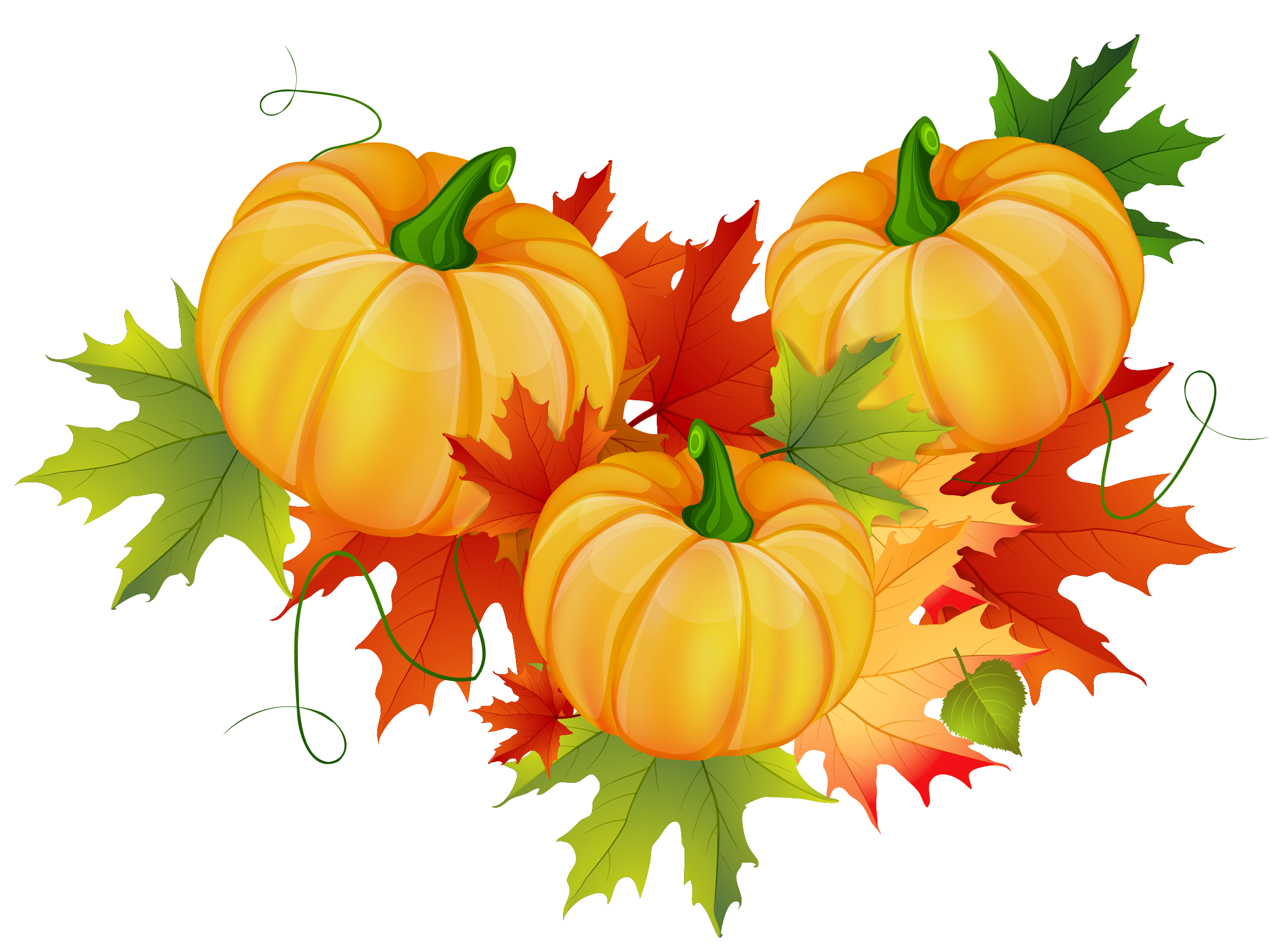 fall leaves and pumpkins border png