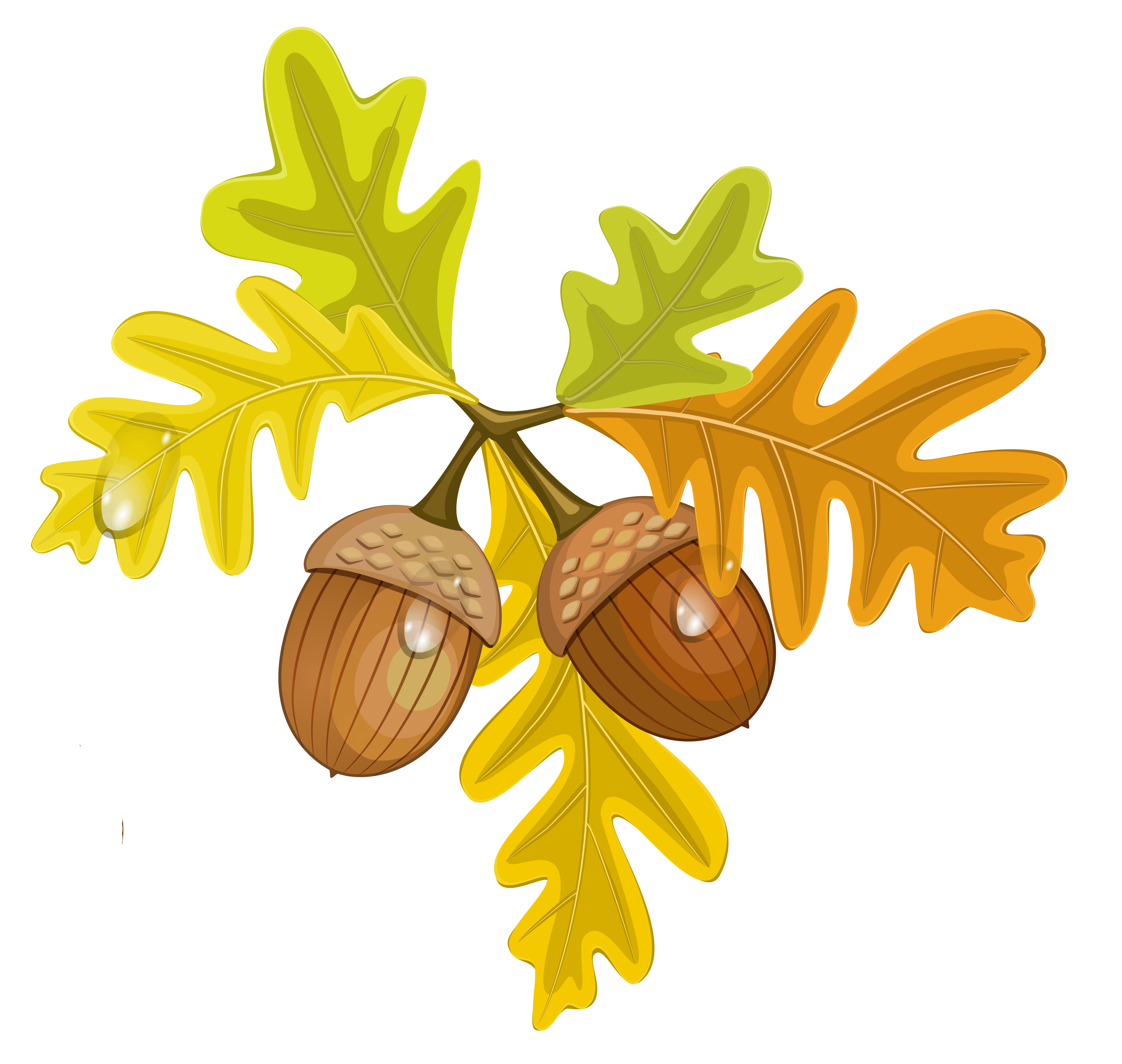 acorns and leaves clip art