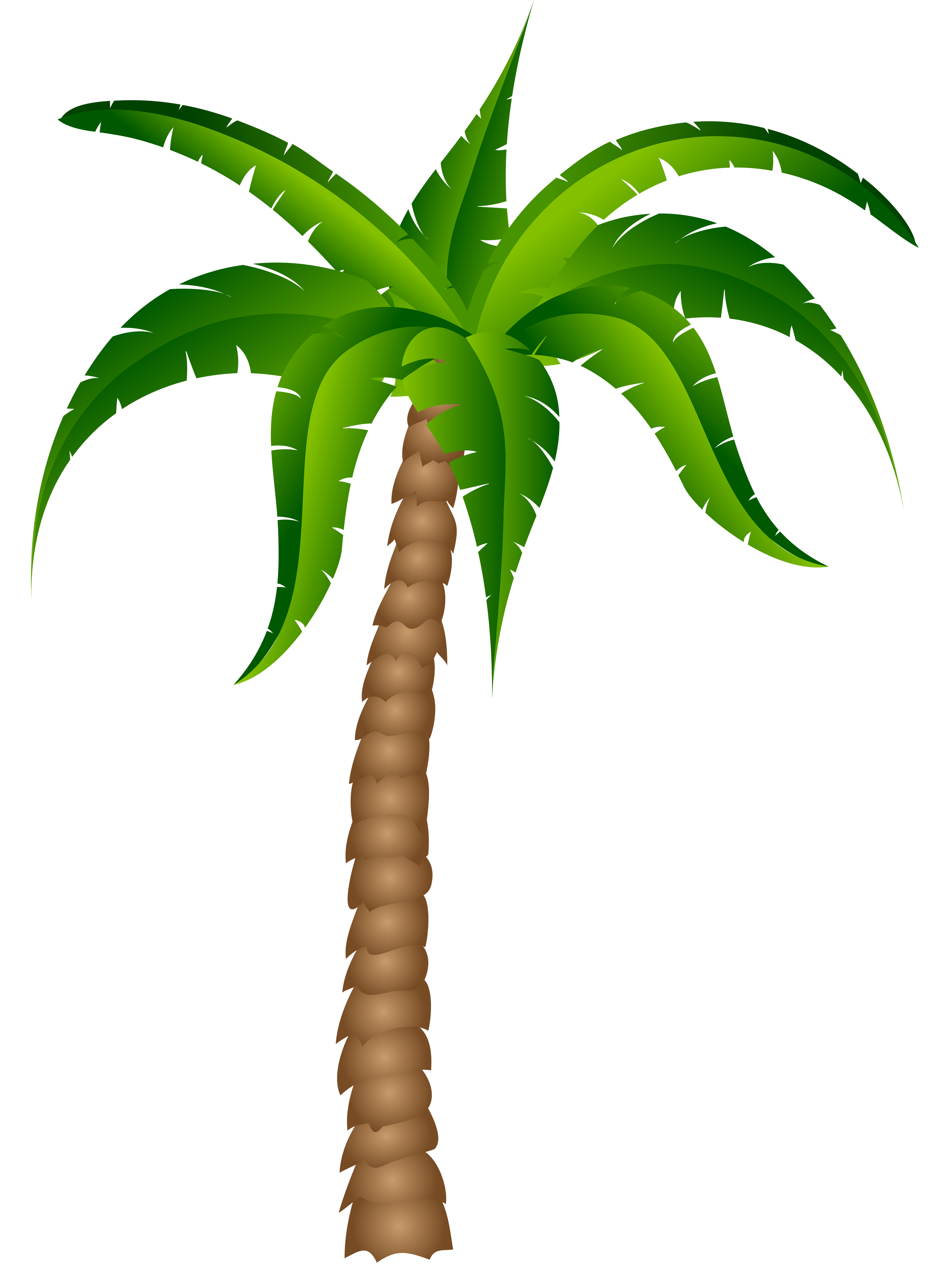 Black Palm Tree Images  Free Photos, PNG Stickers, Wallpapers