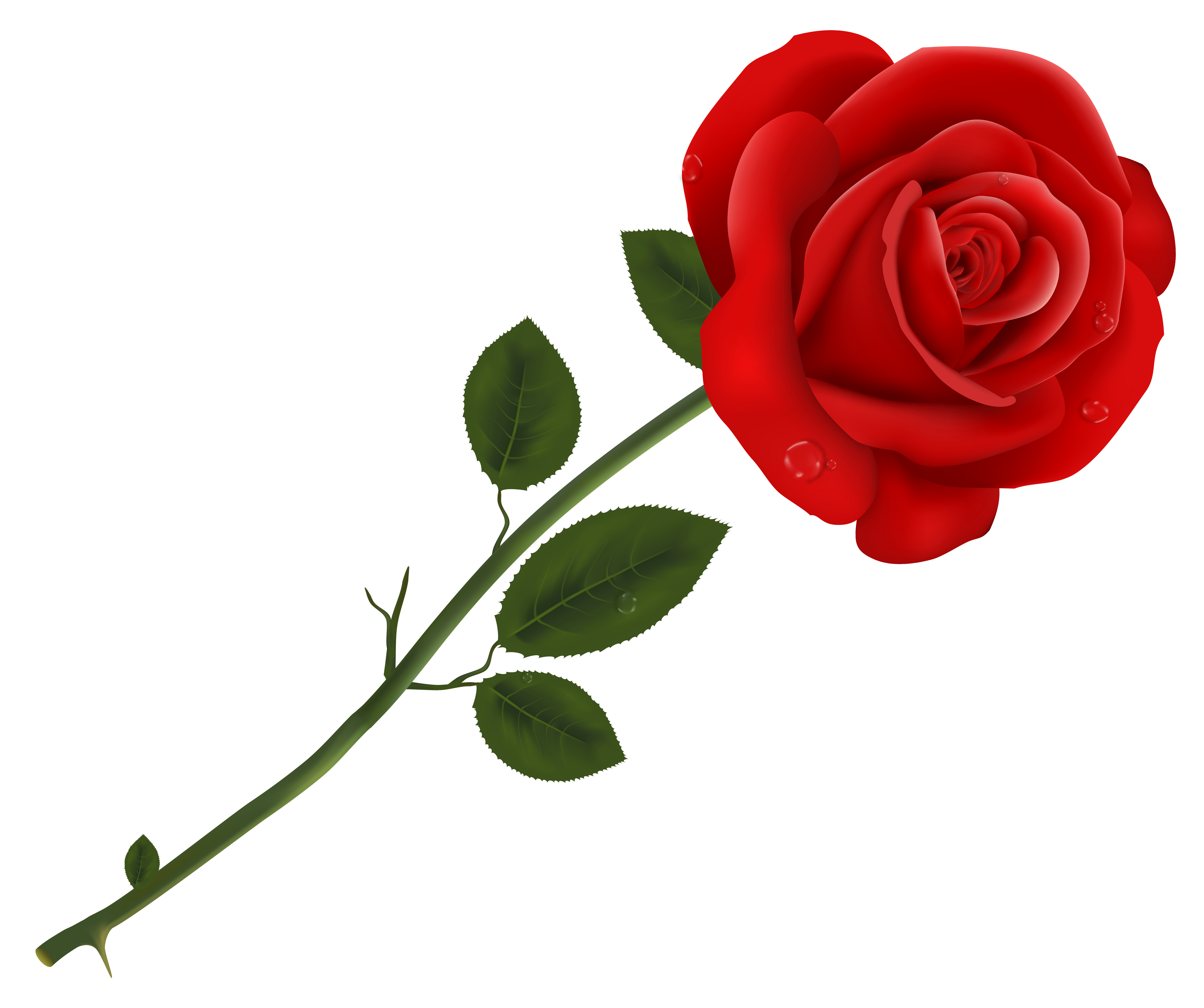 Happy Birthday with Red Rose​  Gallery Yopriceville - High-Quality Free  Images and Transparent PNG Clipart