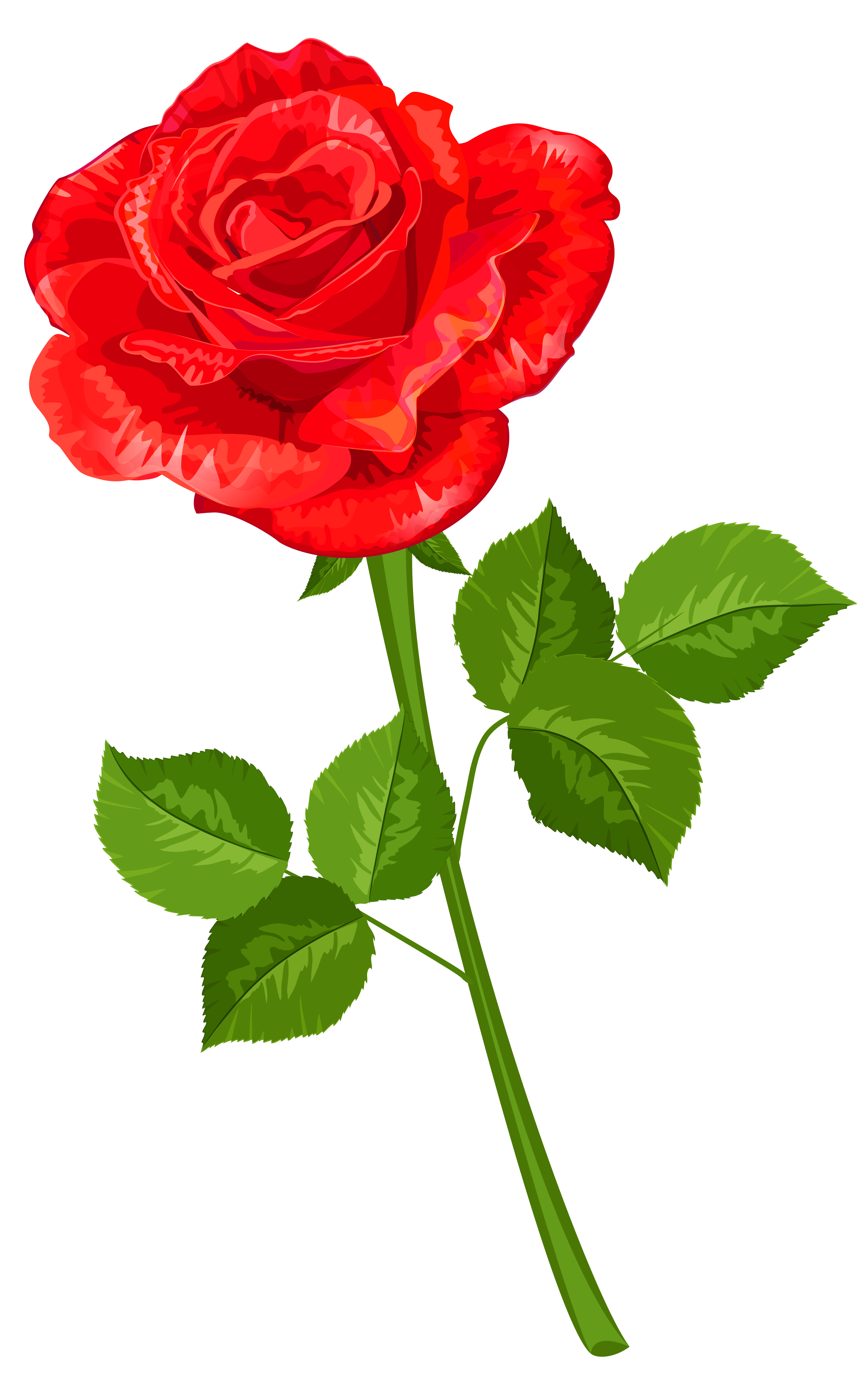 rose transparent png clipart gallery yopriceville high quality images and transparent png free clipart rose transparent png clipart gallery