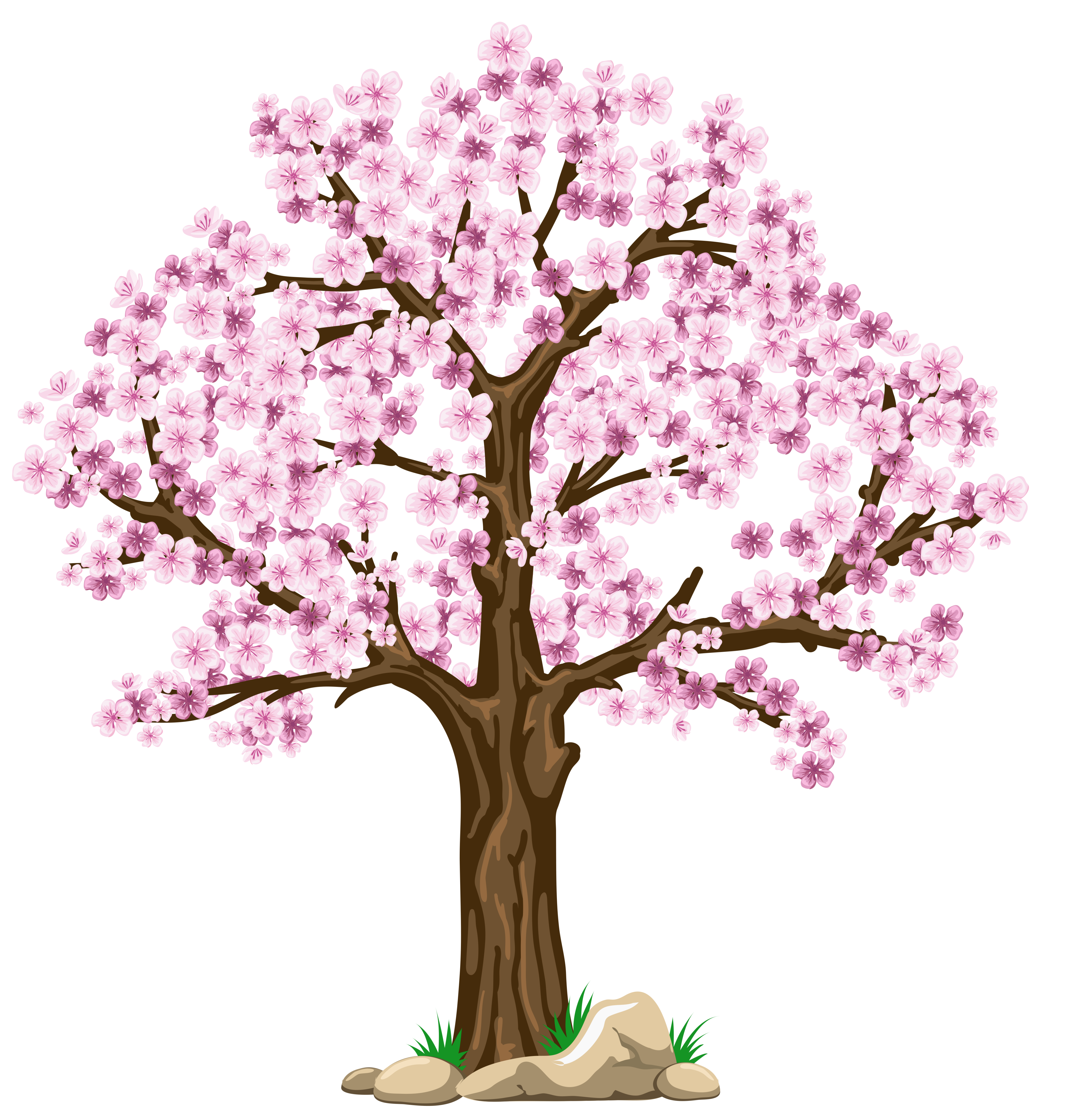 cherry tree png