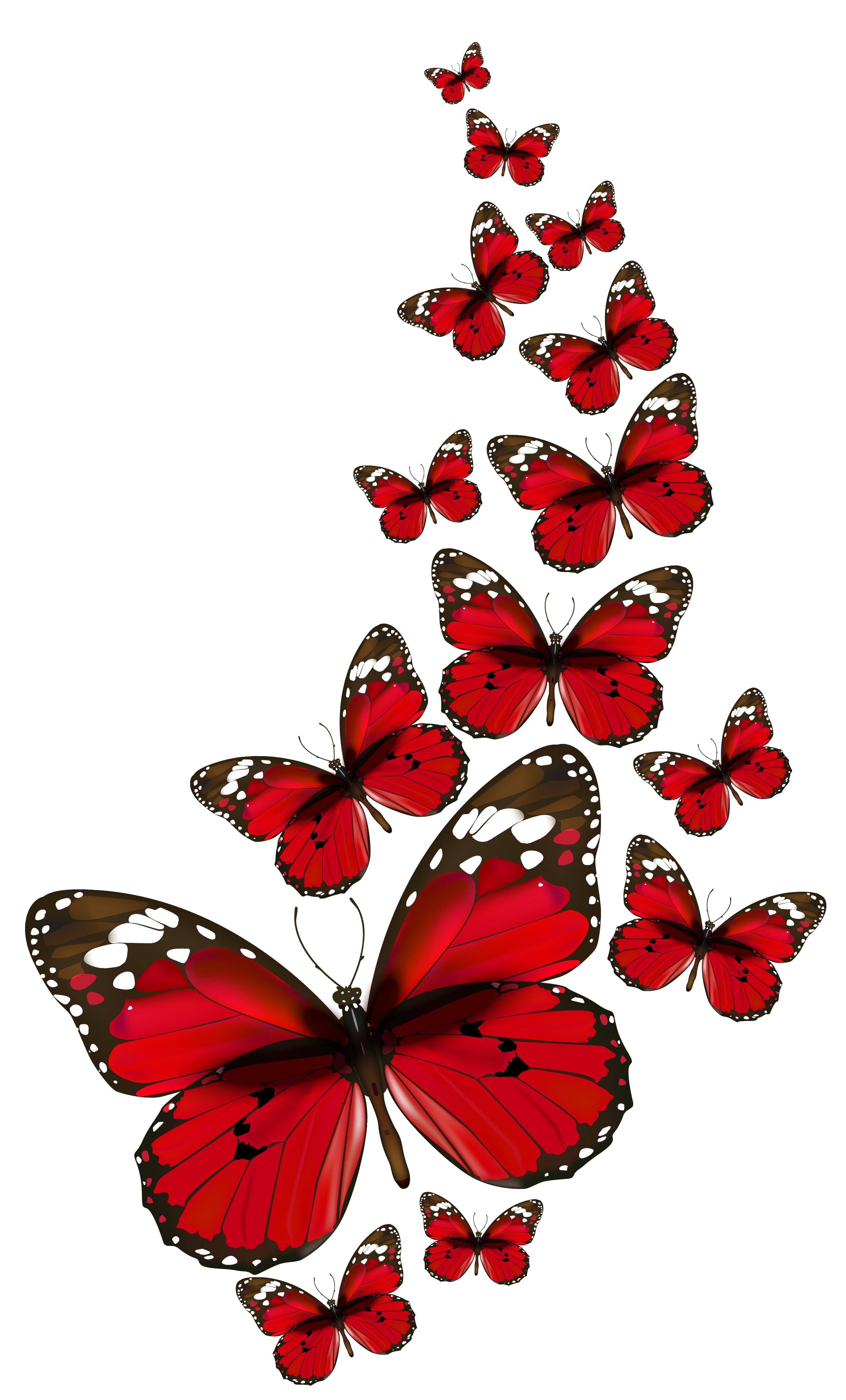 butterfly vector png