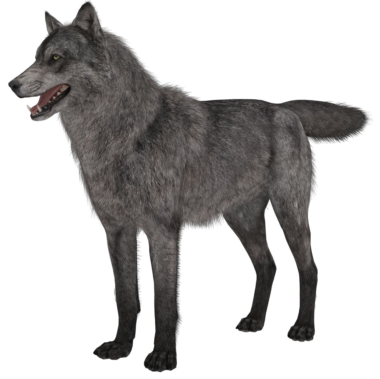 Wolf PNG Clip Art - Best WEB Clipart