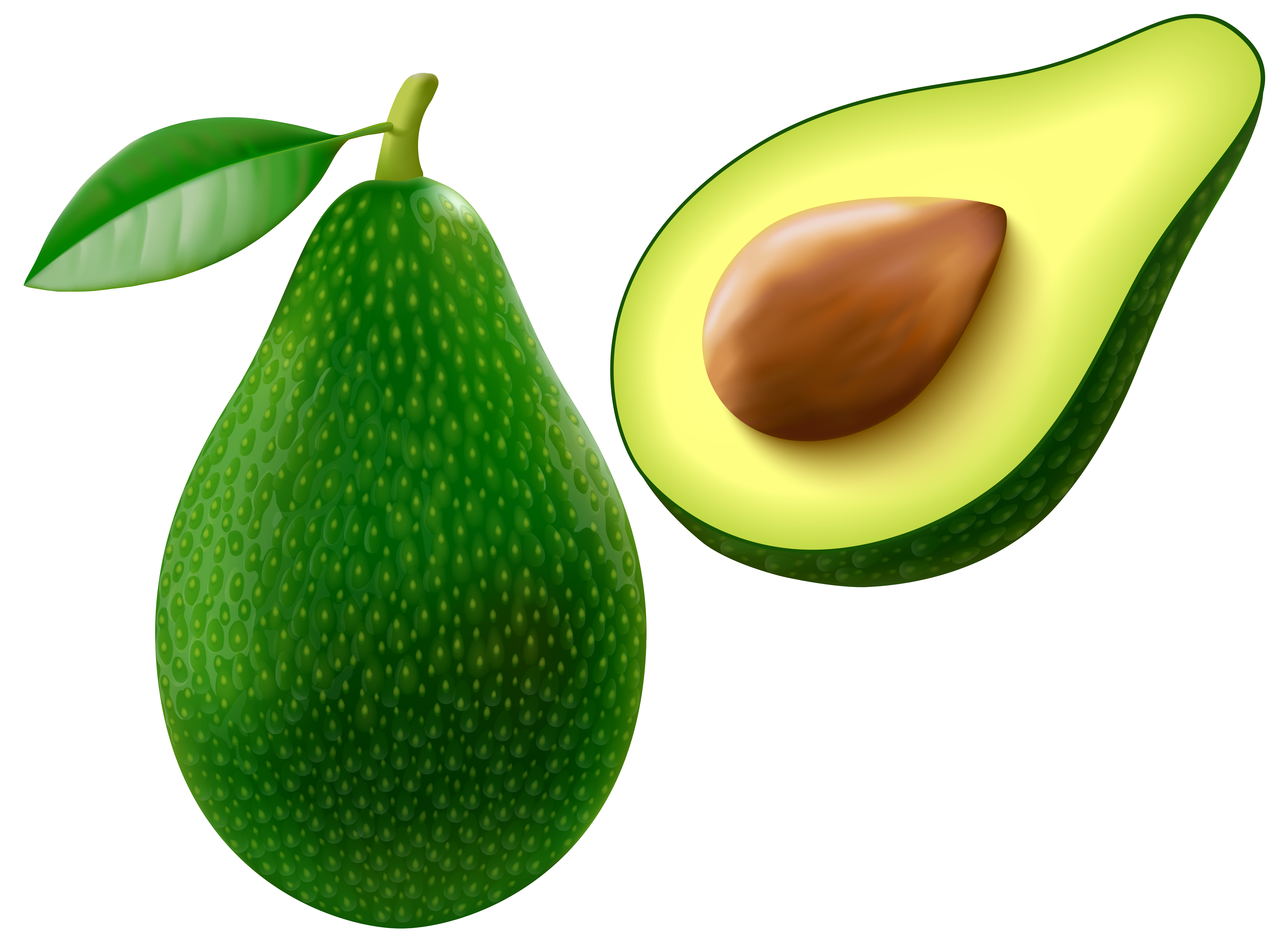 guacamole clipart image