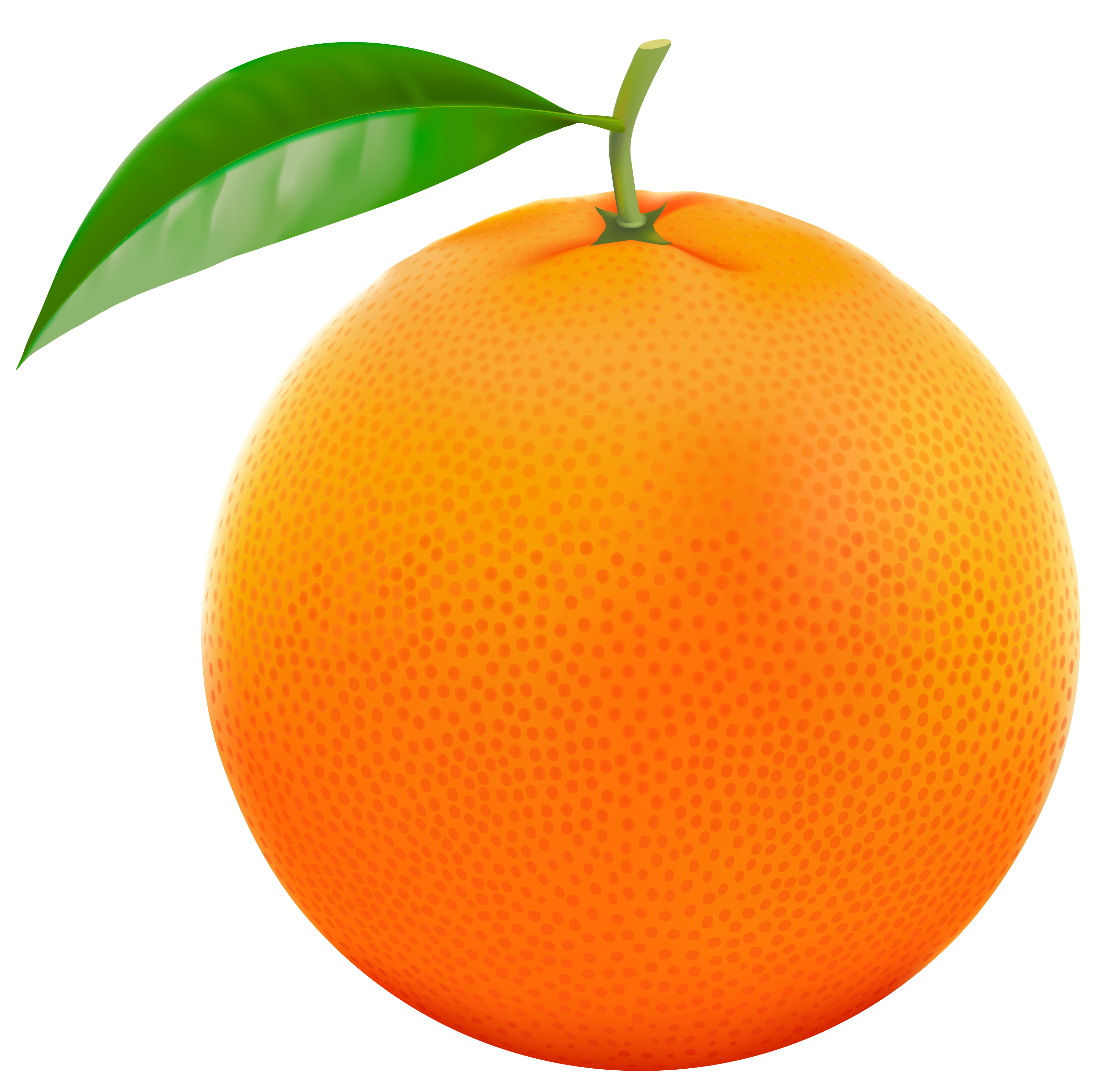 oranges clipart