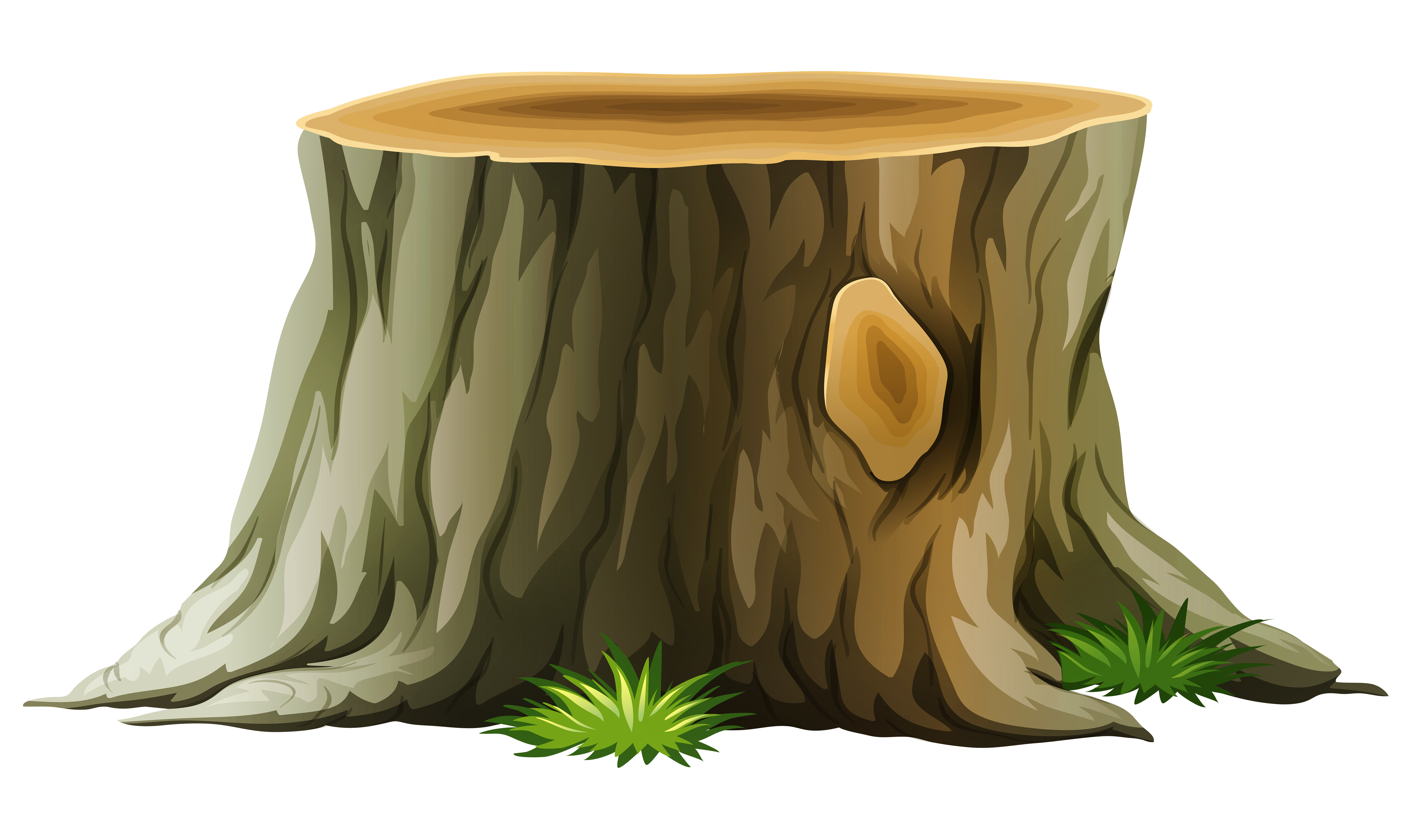 tree trunk png