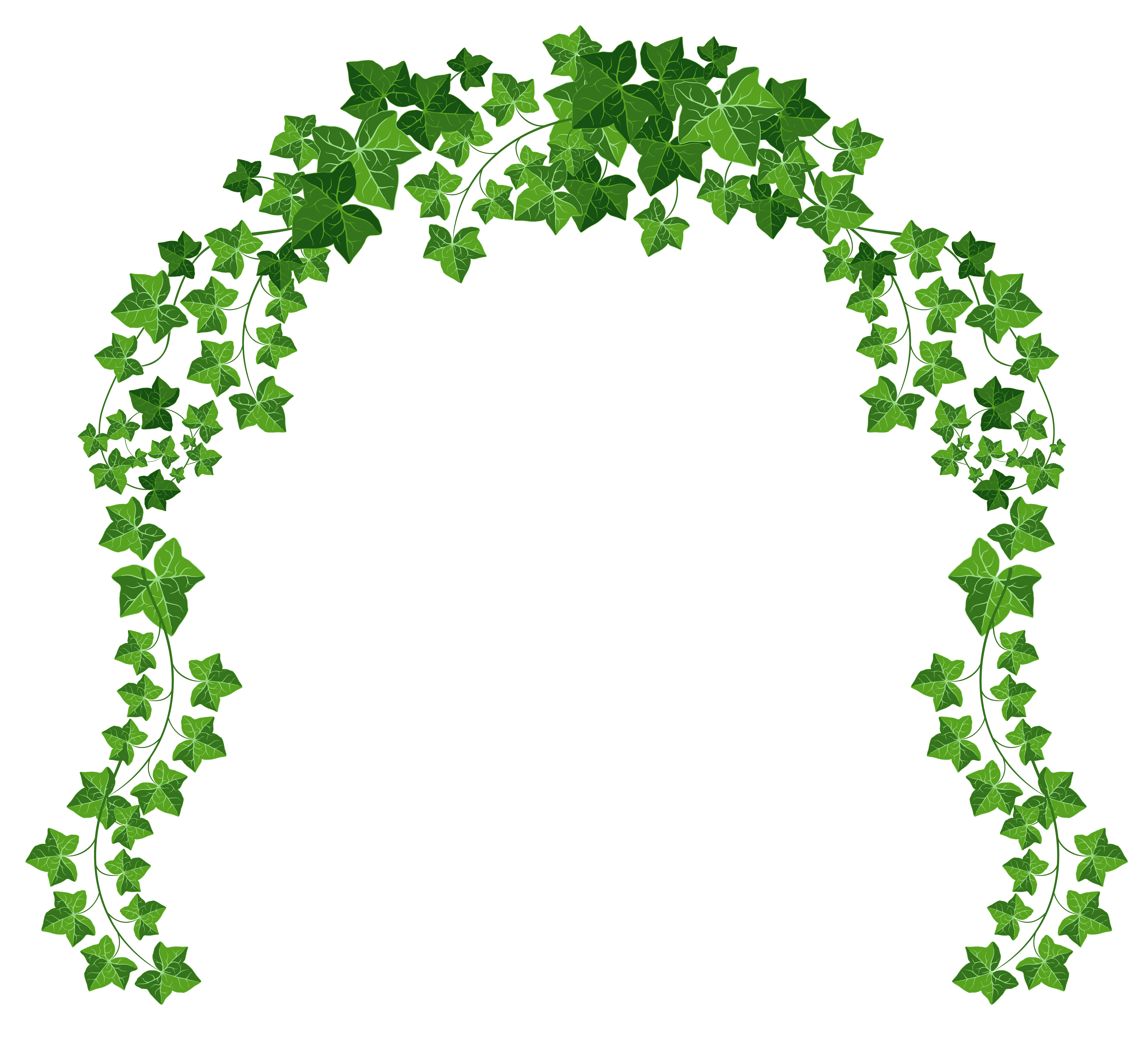 horizontal vine png