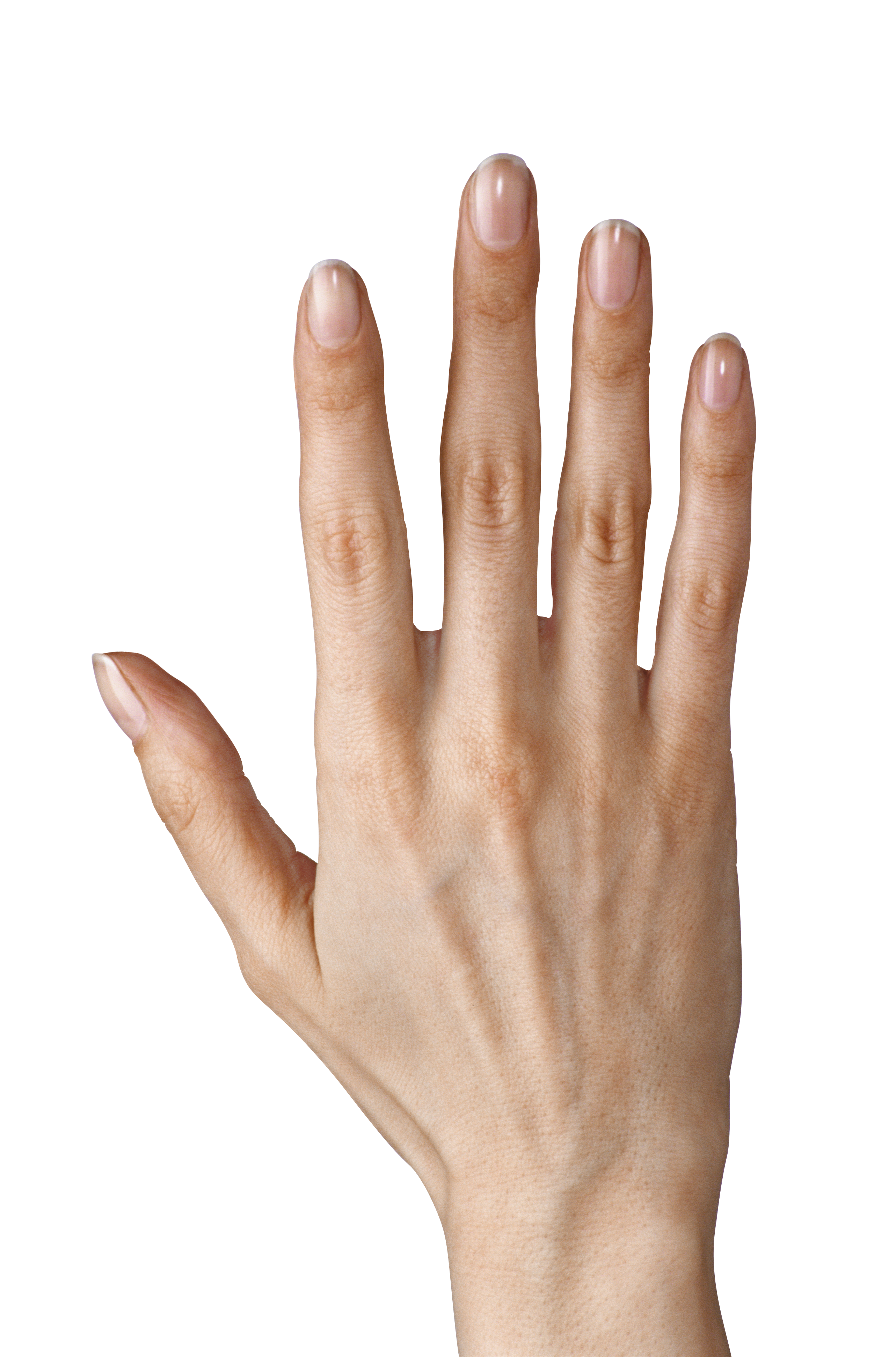 5 fingers clipart