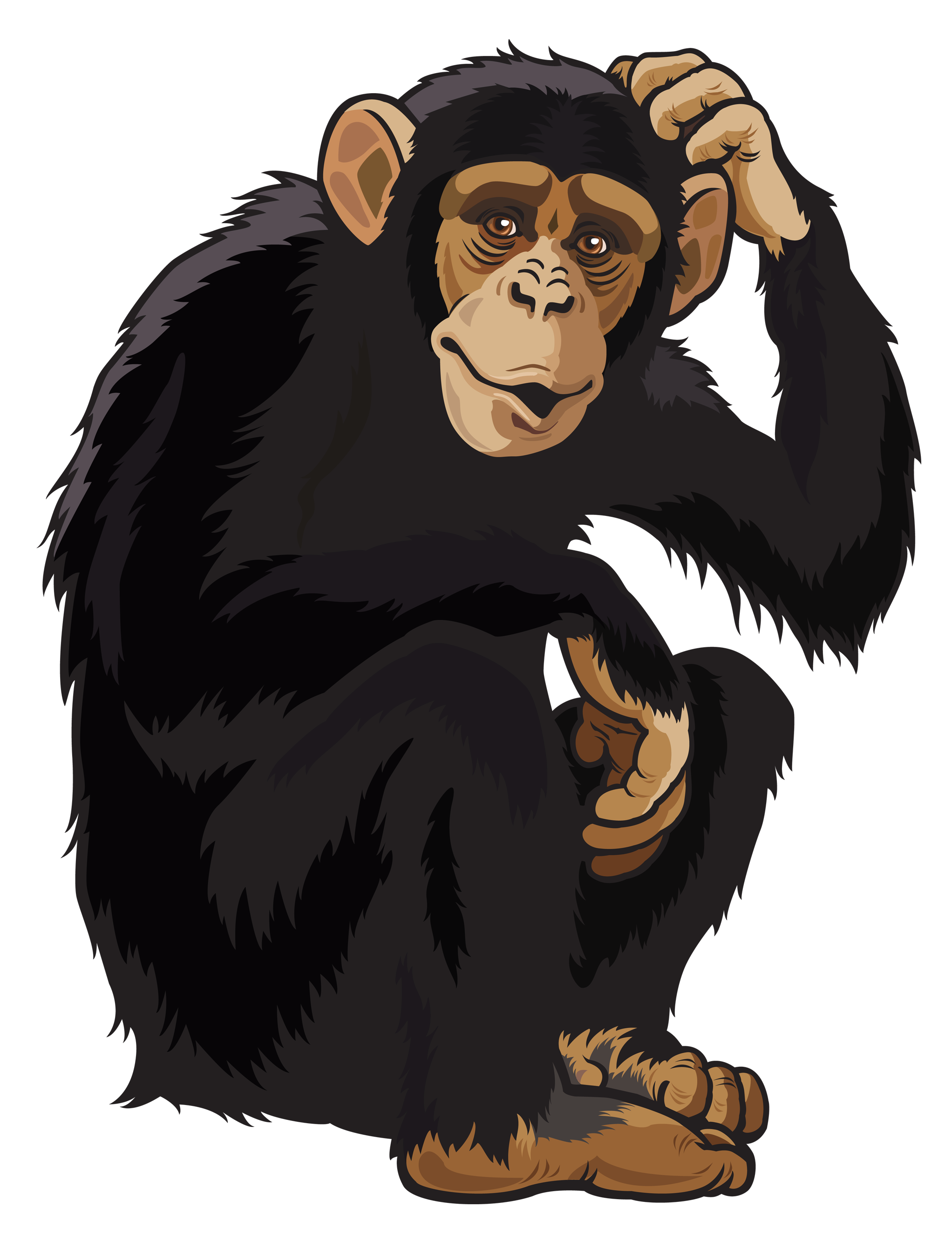 monkey png images