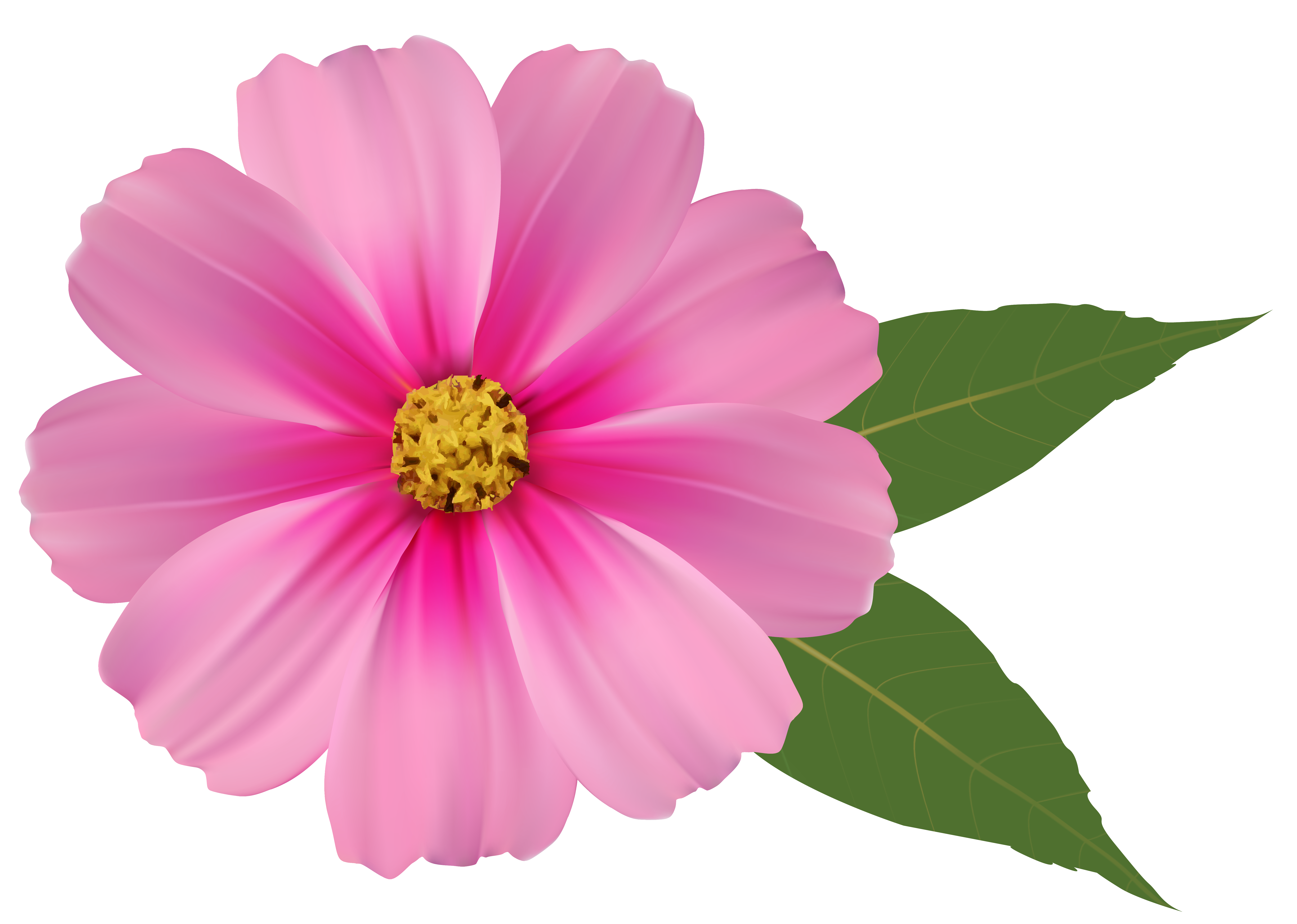 Pink Flower PNG Image Clipart​  Gallery Yopriceville - High-Quality Free  Images and Transparent PNG Clipart
