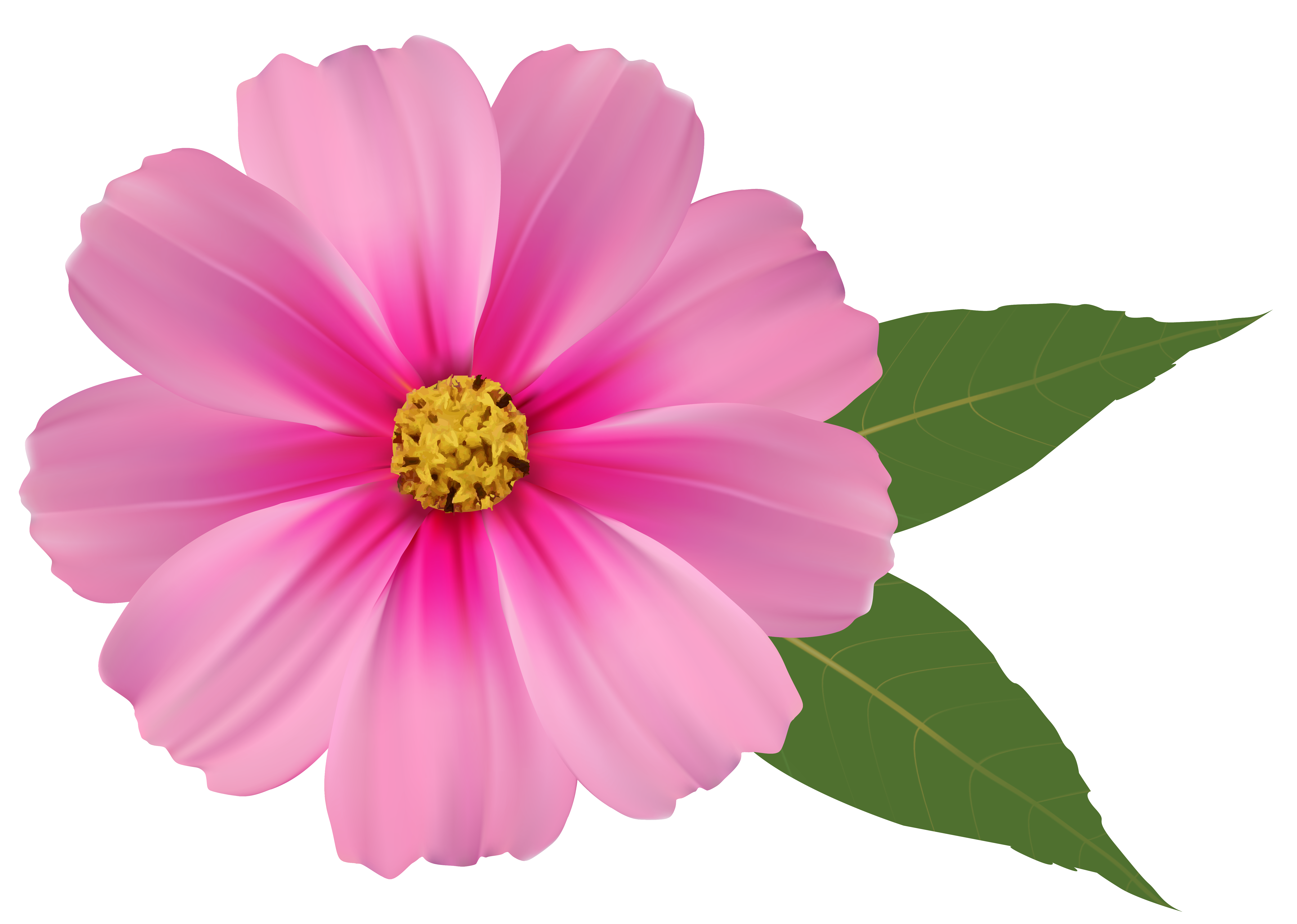 Pink Flower PNG Image Clipart​