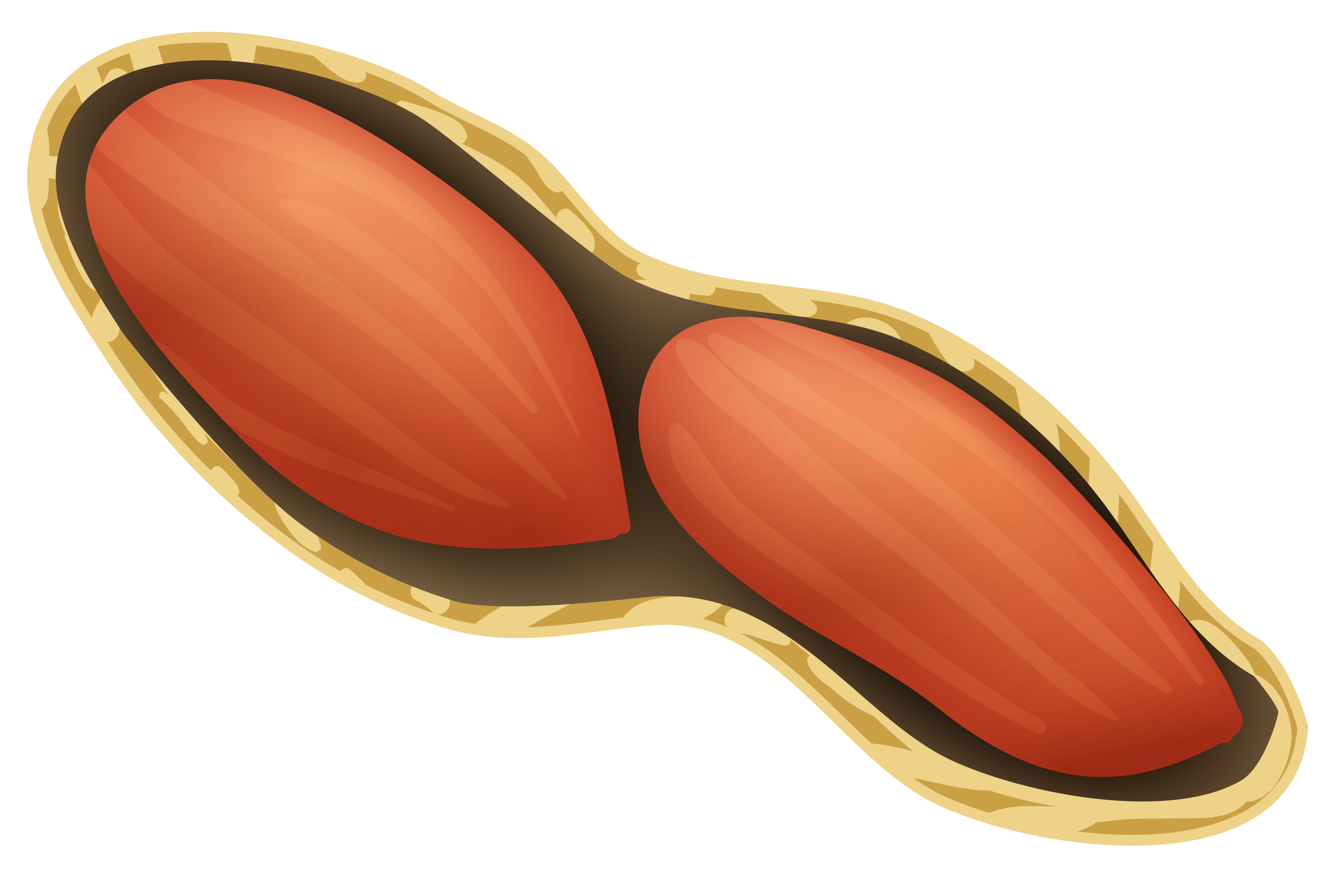 peanut clipart