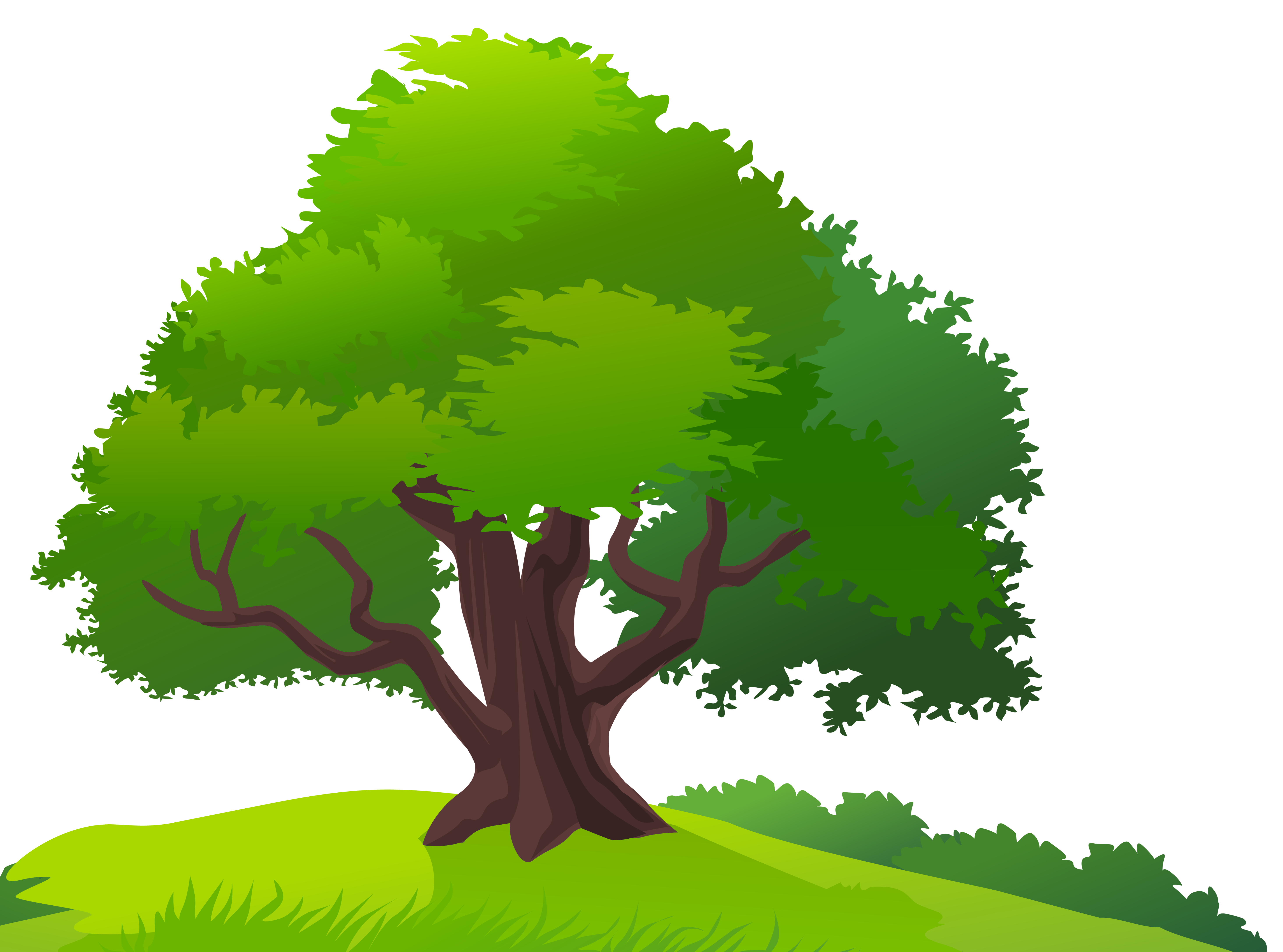 free tree clipart images