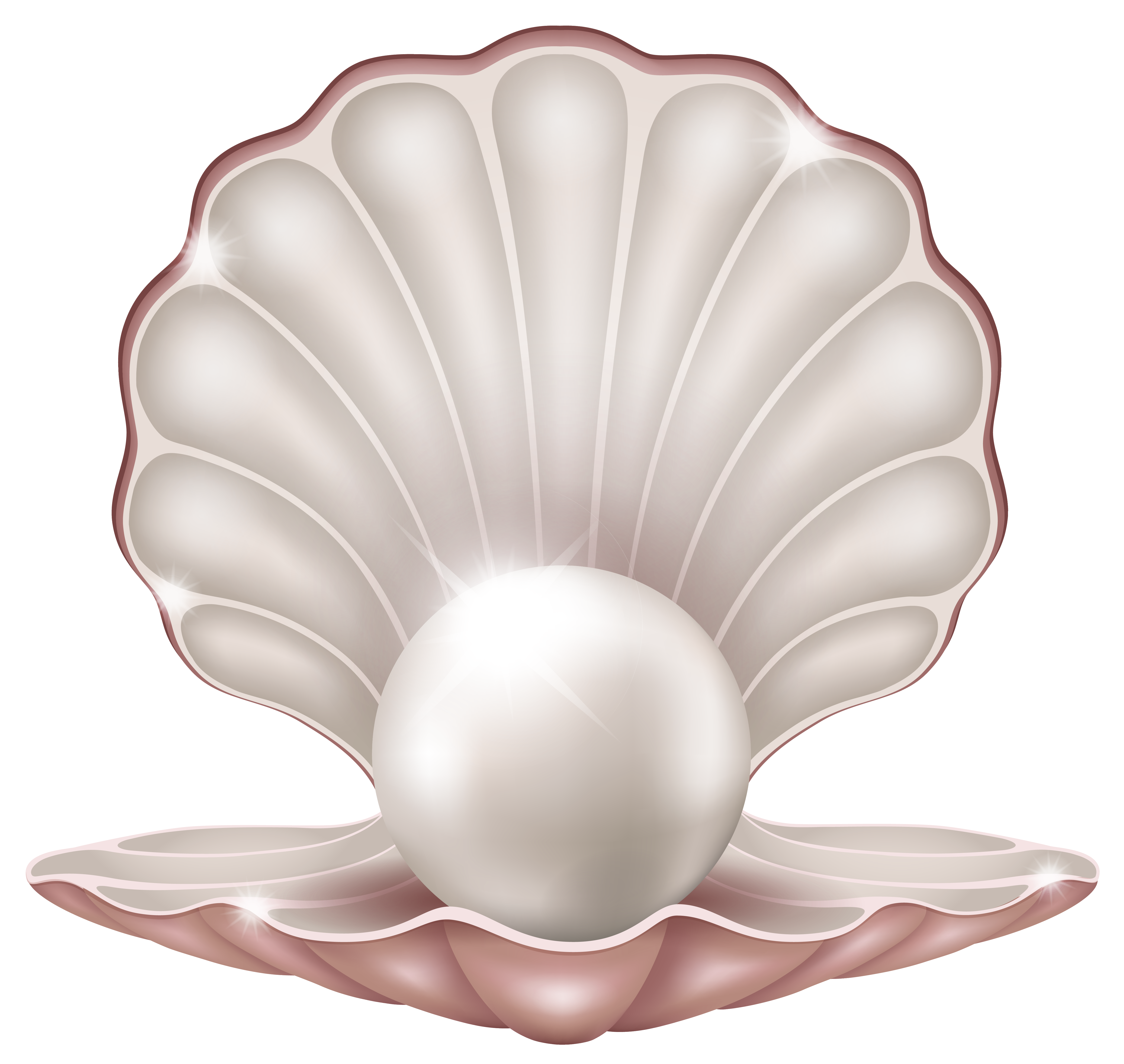 giant clam clipart