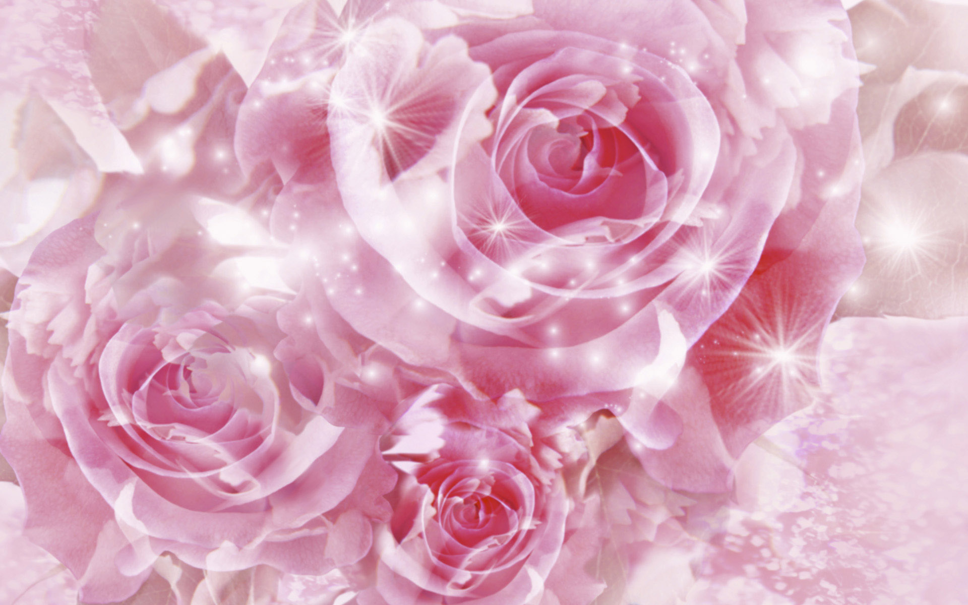 Pink Romantic Rose Background Design, Pink, Romantic, Rose Background  Background Image And Wallpaper for Free Download