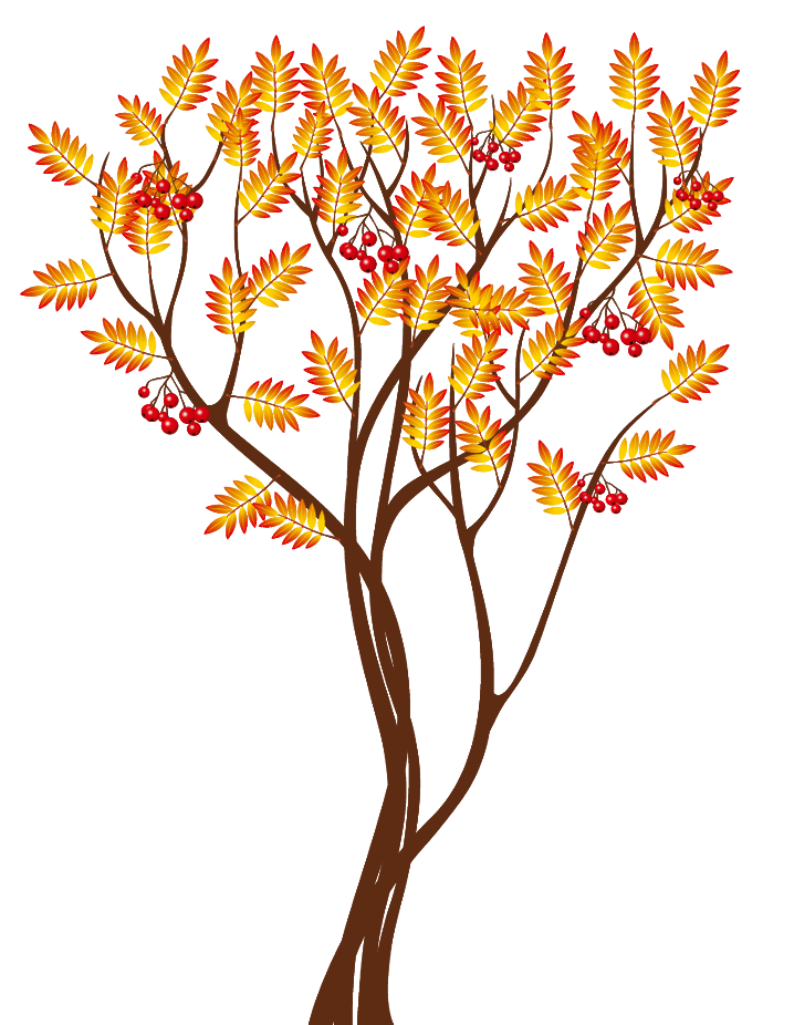 autumn tree png