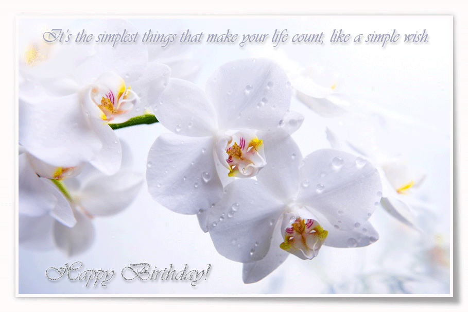 Happy Birthday Gif Animation Gallery Yopriceville - High-Quality Free Images and Transparent PNG Clipart