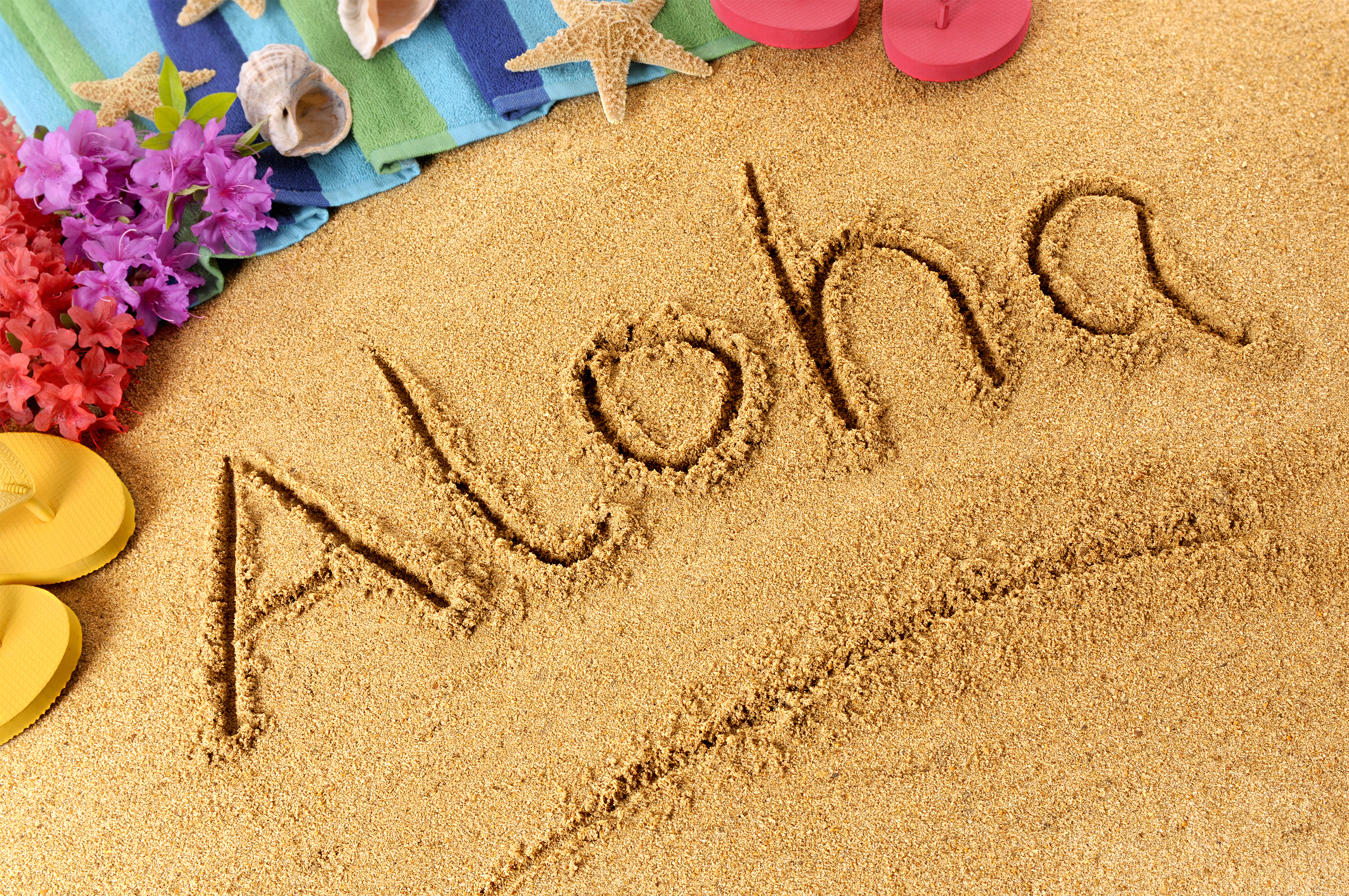 Wallpaper Roll Aloha Hawaii beach travel concept - PIXERS.UK