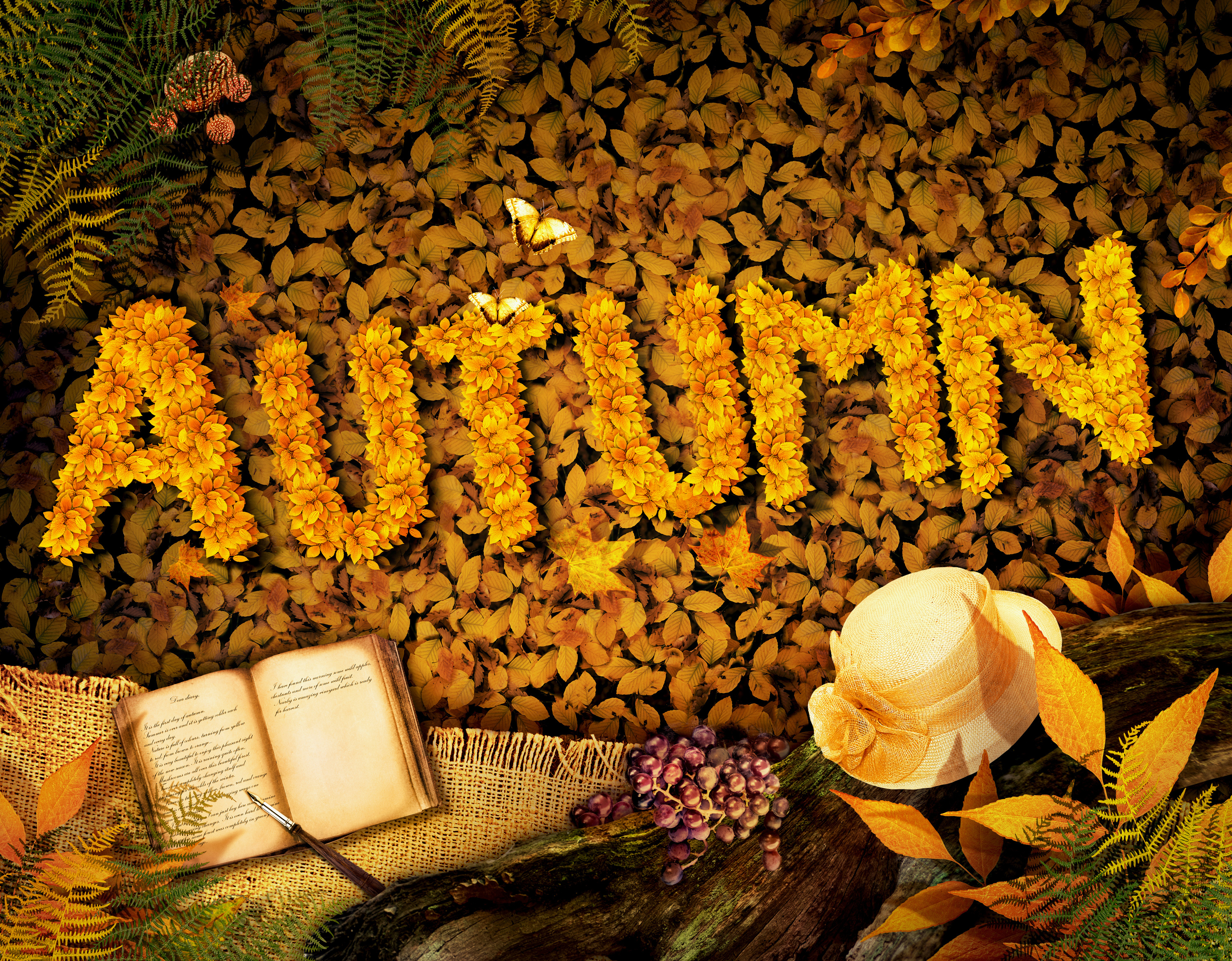 autumn background with book gallery yopriceville high new christmas albums 2019