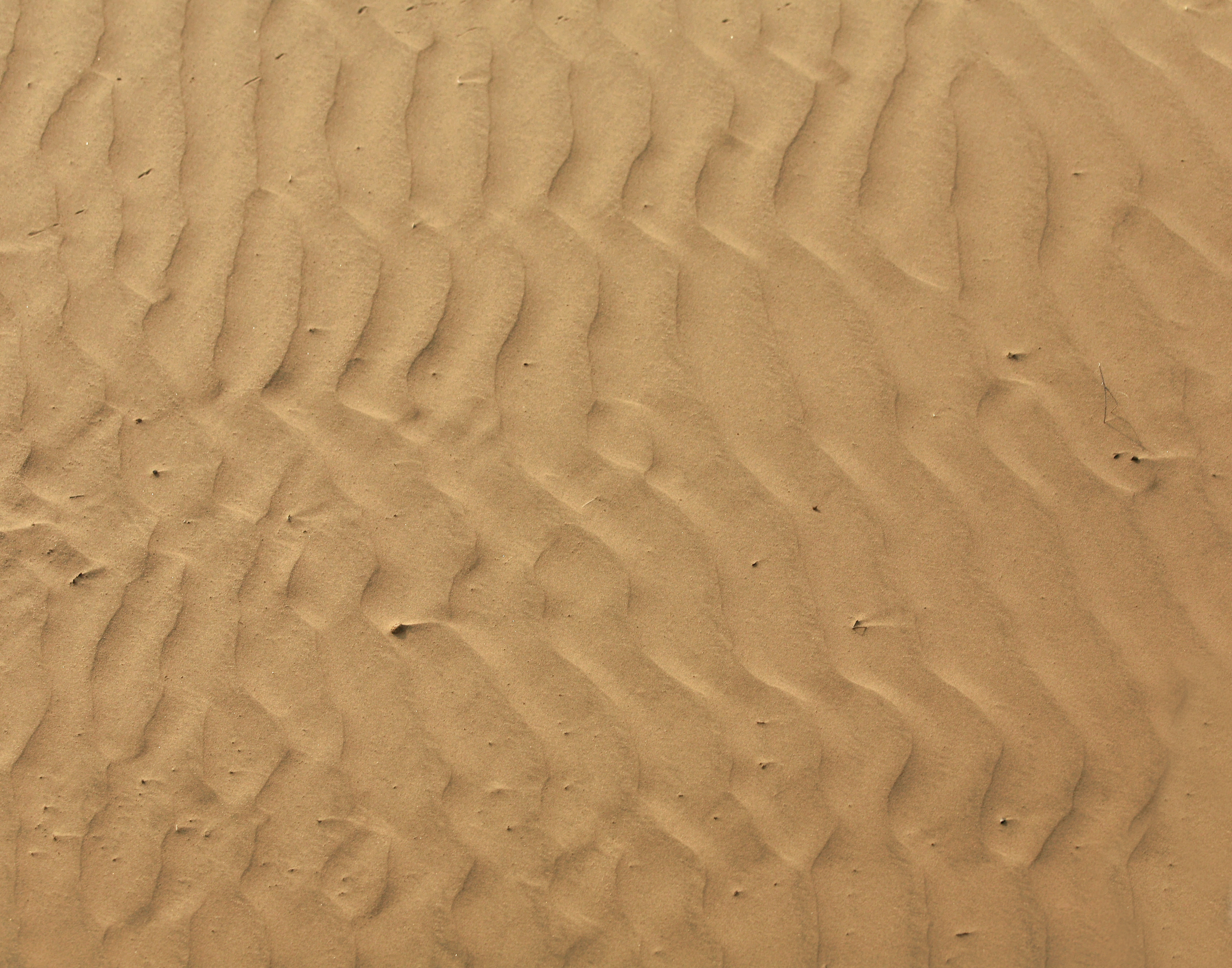 Desert Sand