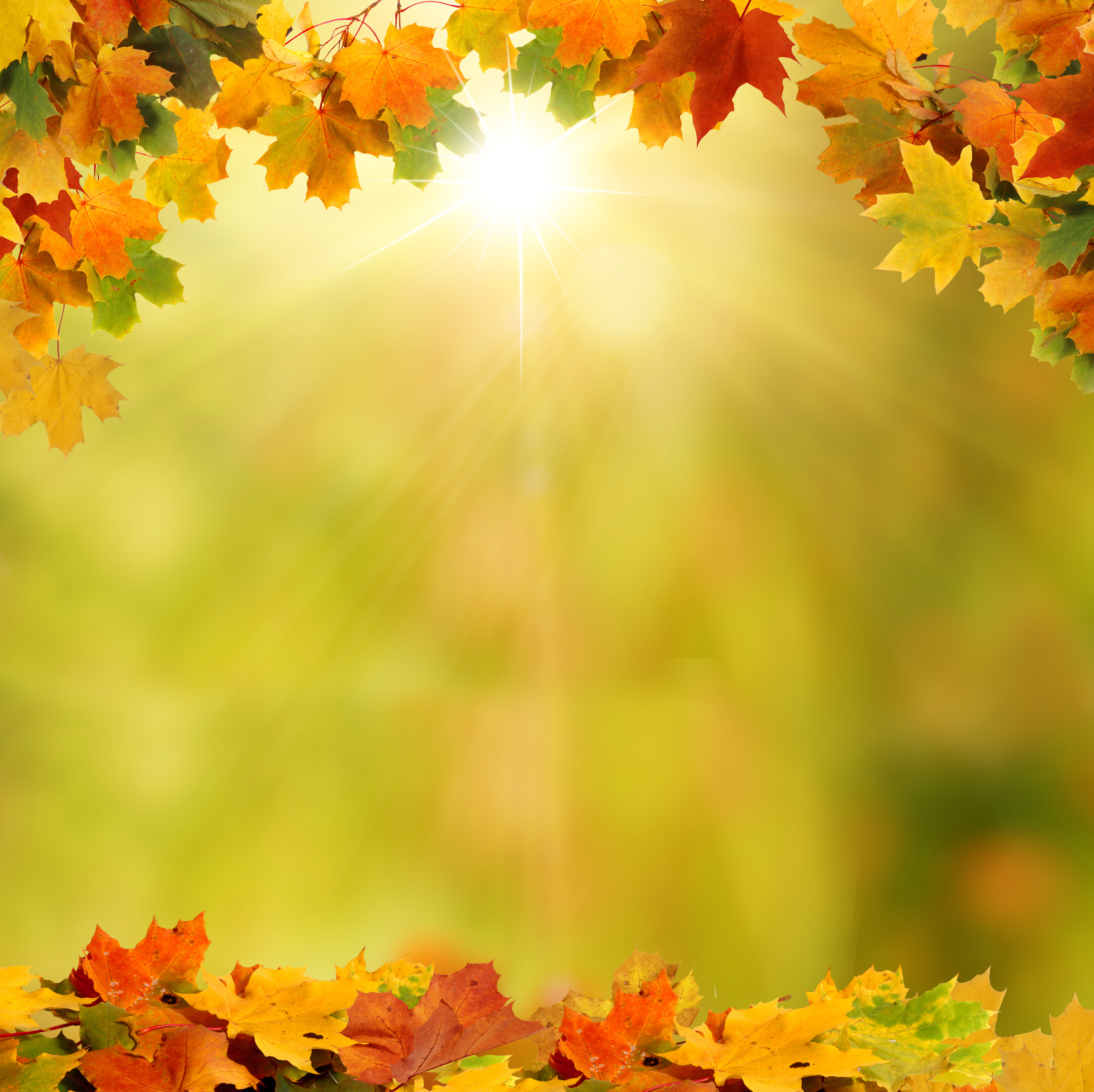 Background with Autumn Leaves​ | Gallery Yopriceville - High-Quality Free  Images and Transparent PNG Clipart