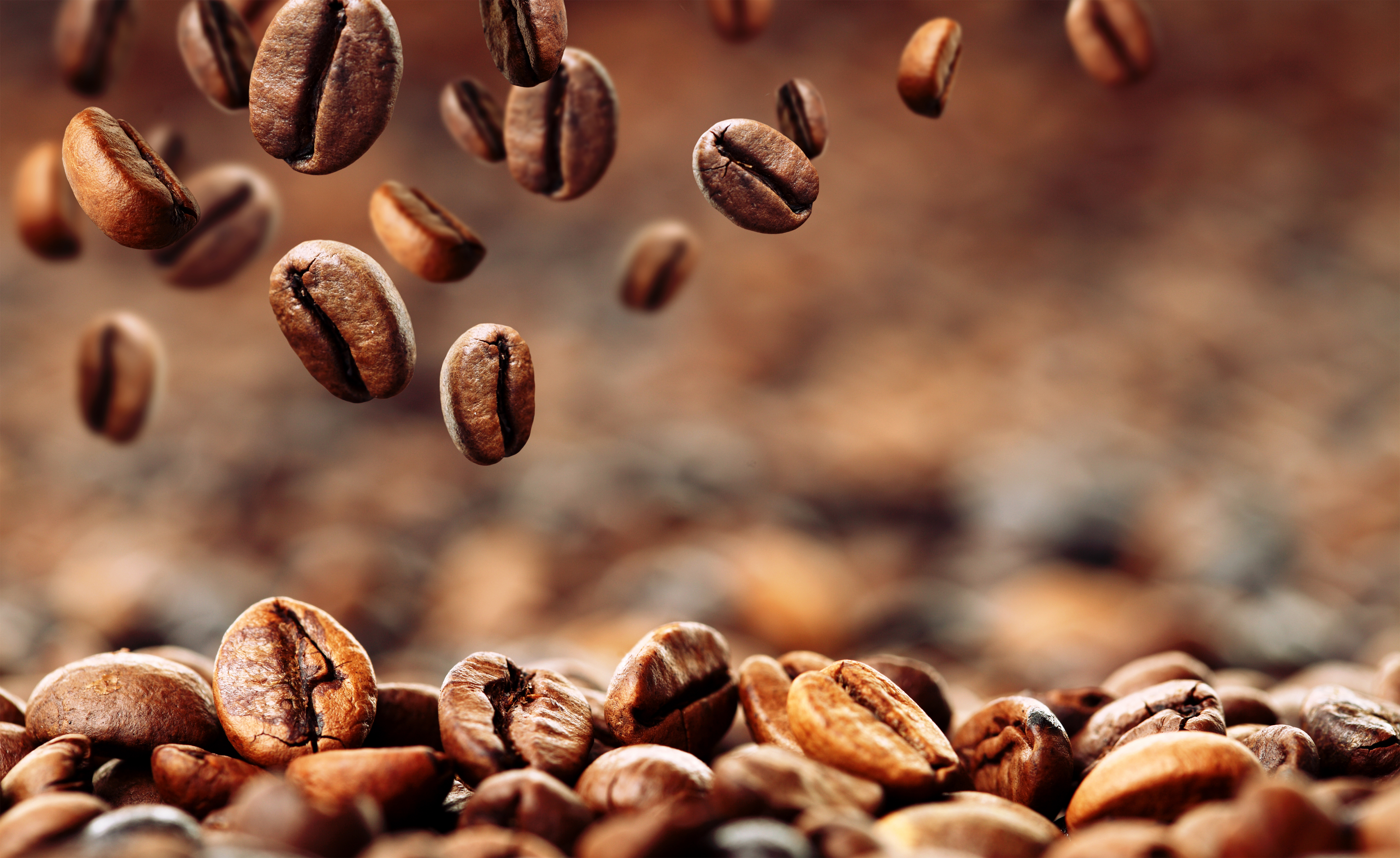 Coffee Beans Cup Food And Drink Roasted Coffee Bean Freshness   Wallpaperforu