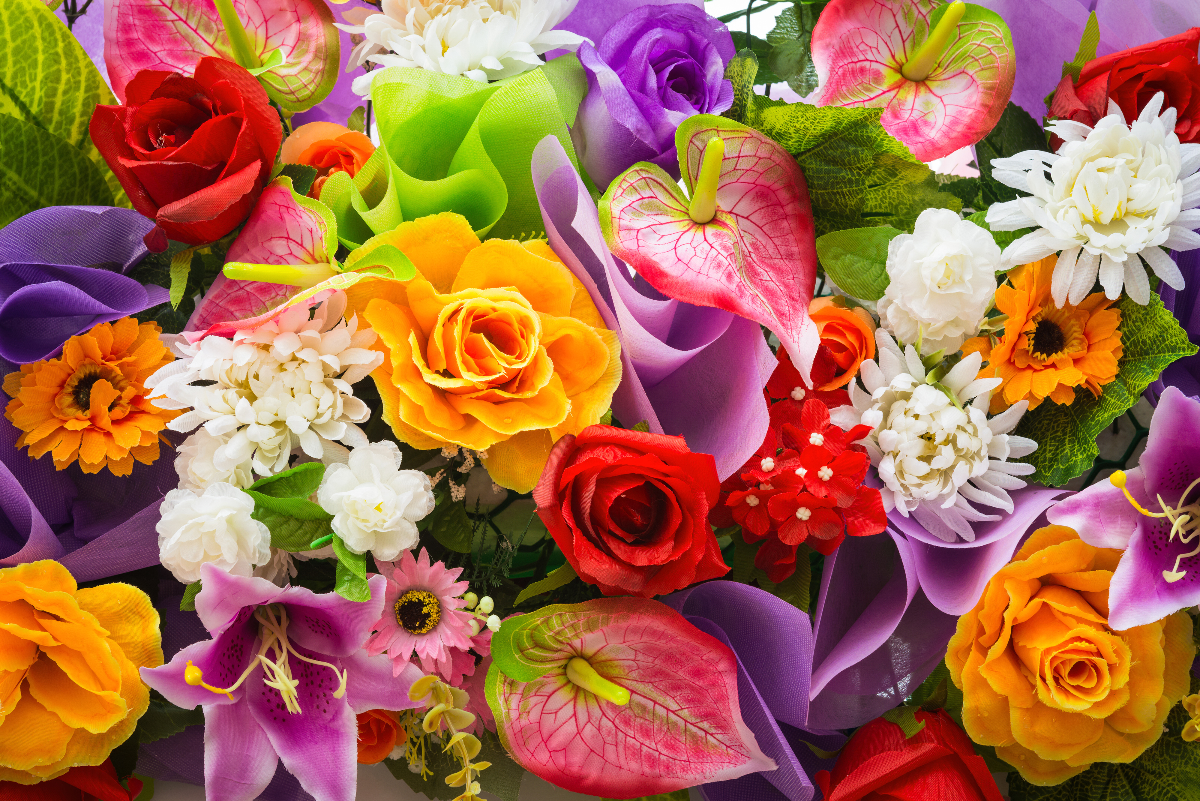 colourful flower backgrounds