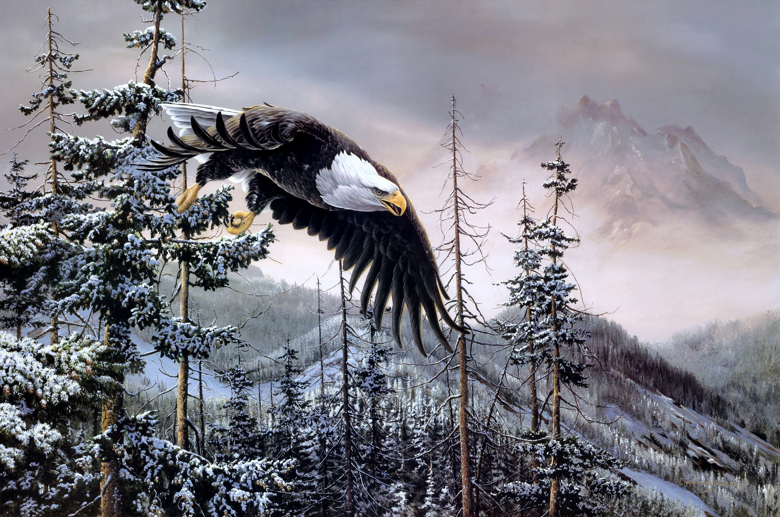 Eagle Flight In Winter Forest Painting Background Gallery