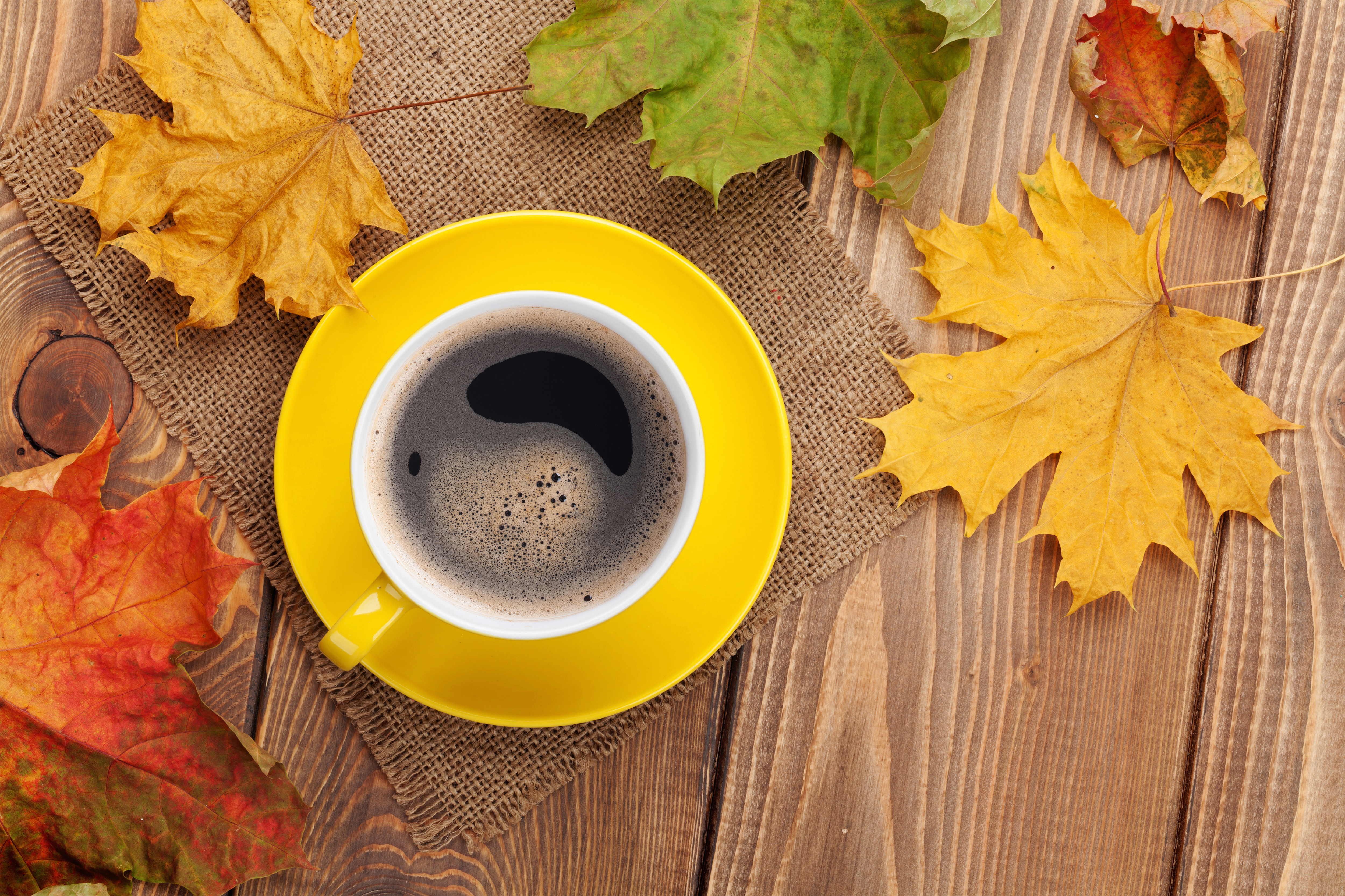 fall background with leaves and cup of coffee gallery