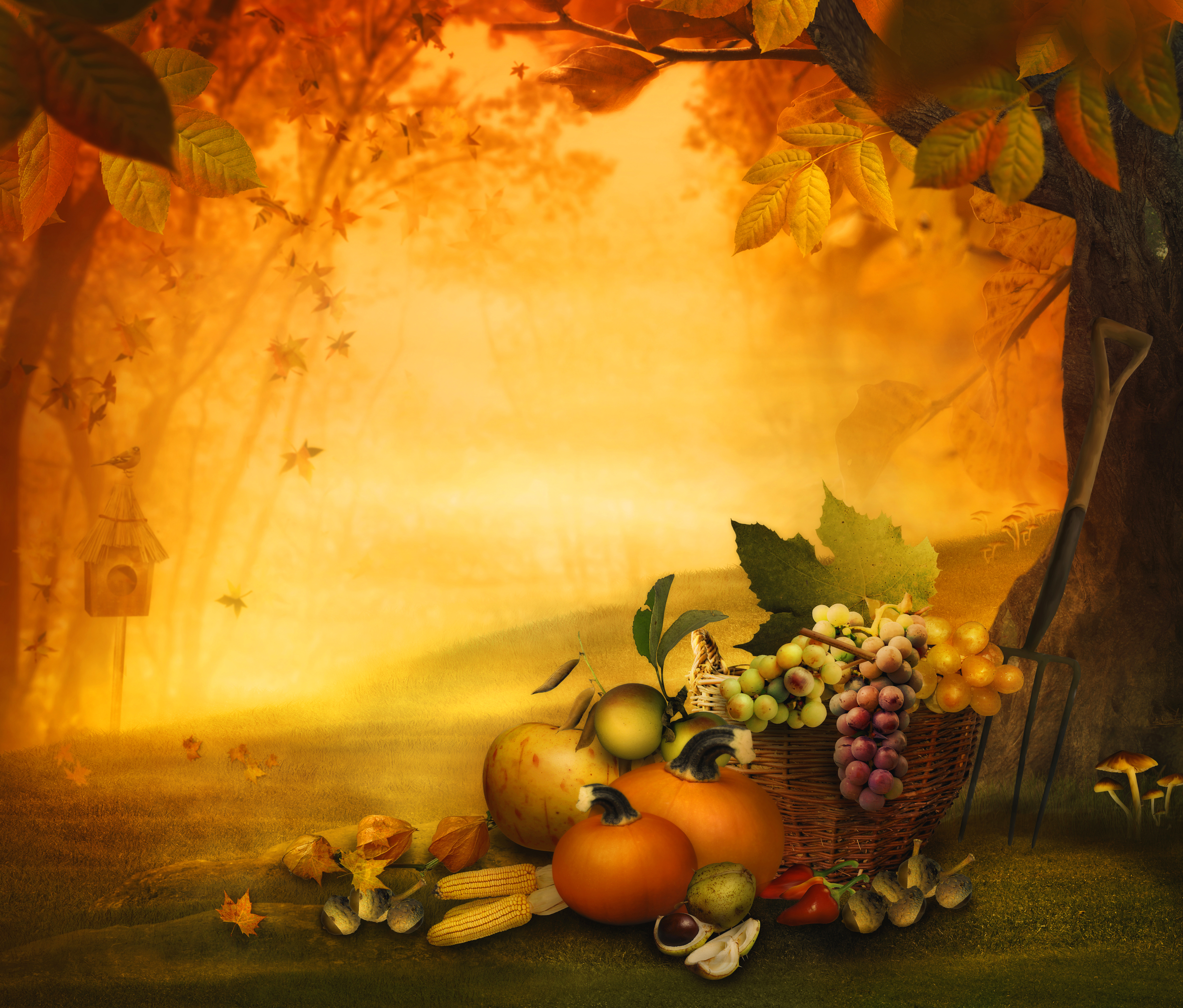 Fall Thanksgiving Background | Gallery Yopriceville - High ...