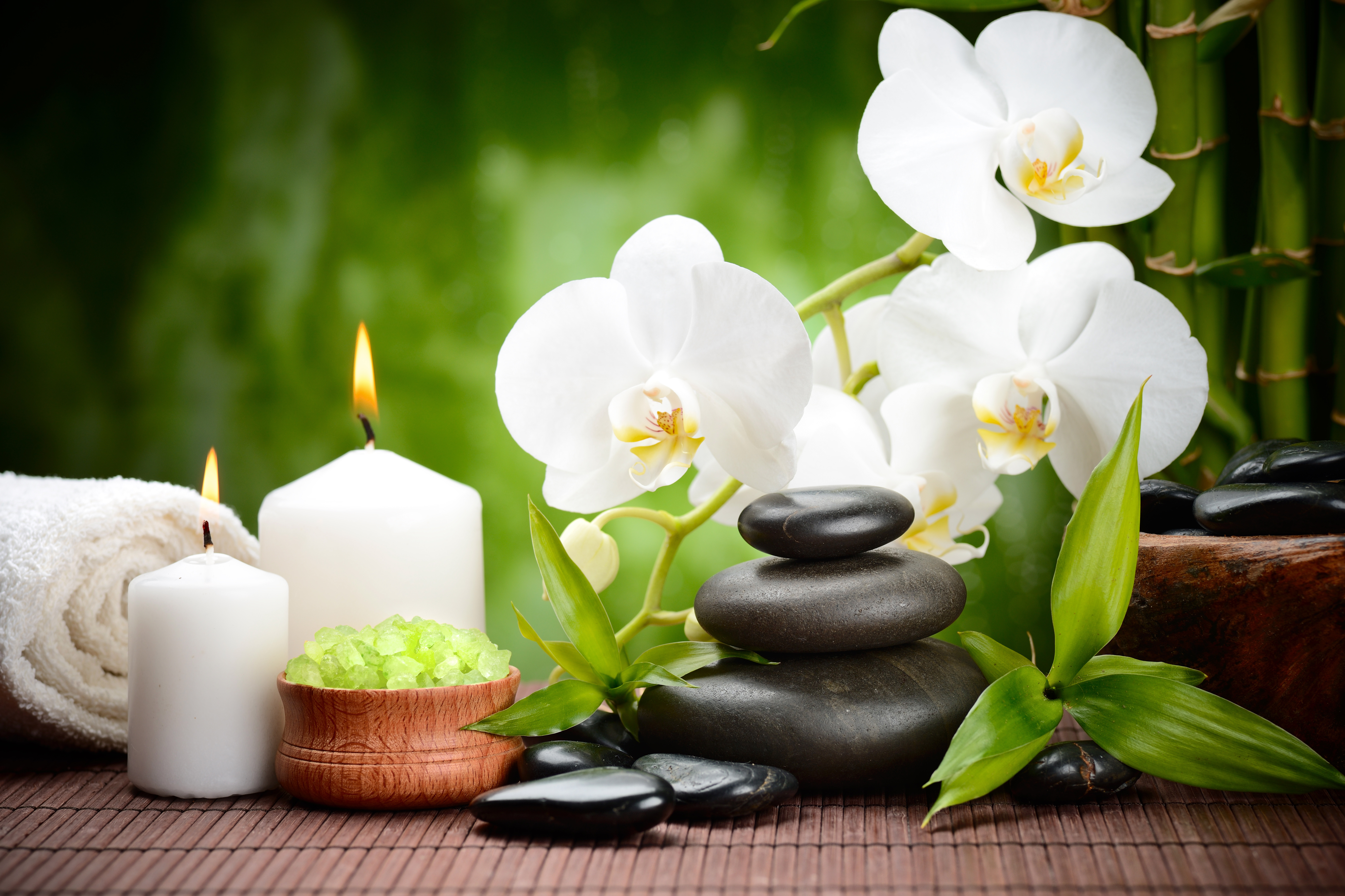 Green Spa Background with White Orchids | Gallery Yopriceville - High