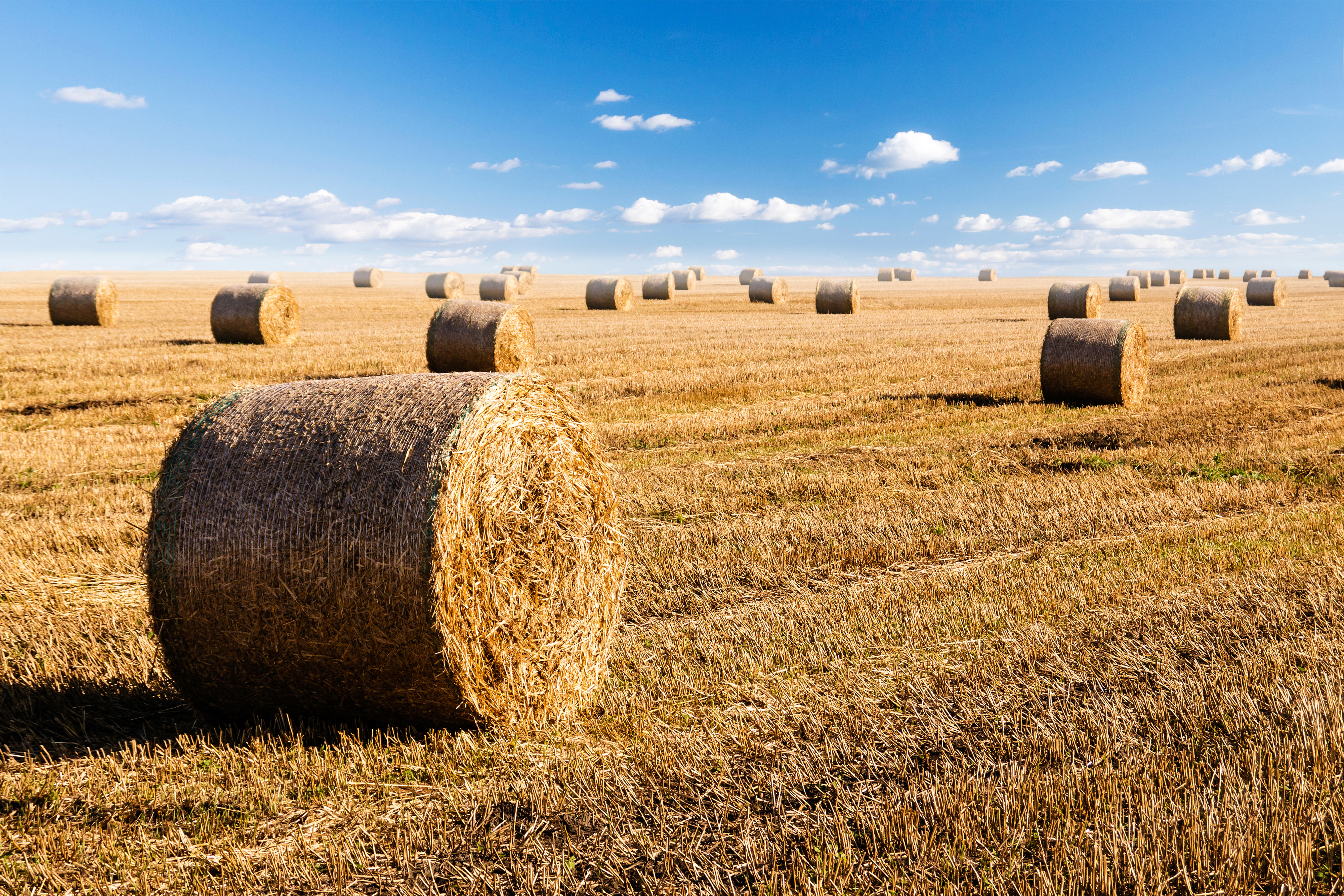 Hay Bales And Sky Background Gallery Yopriceville High Quality Free Images And Transparent Png Clipart