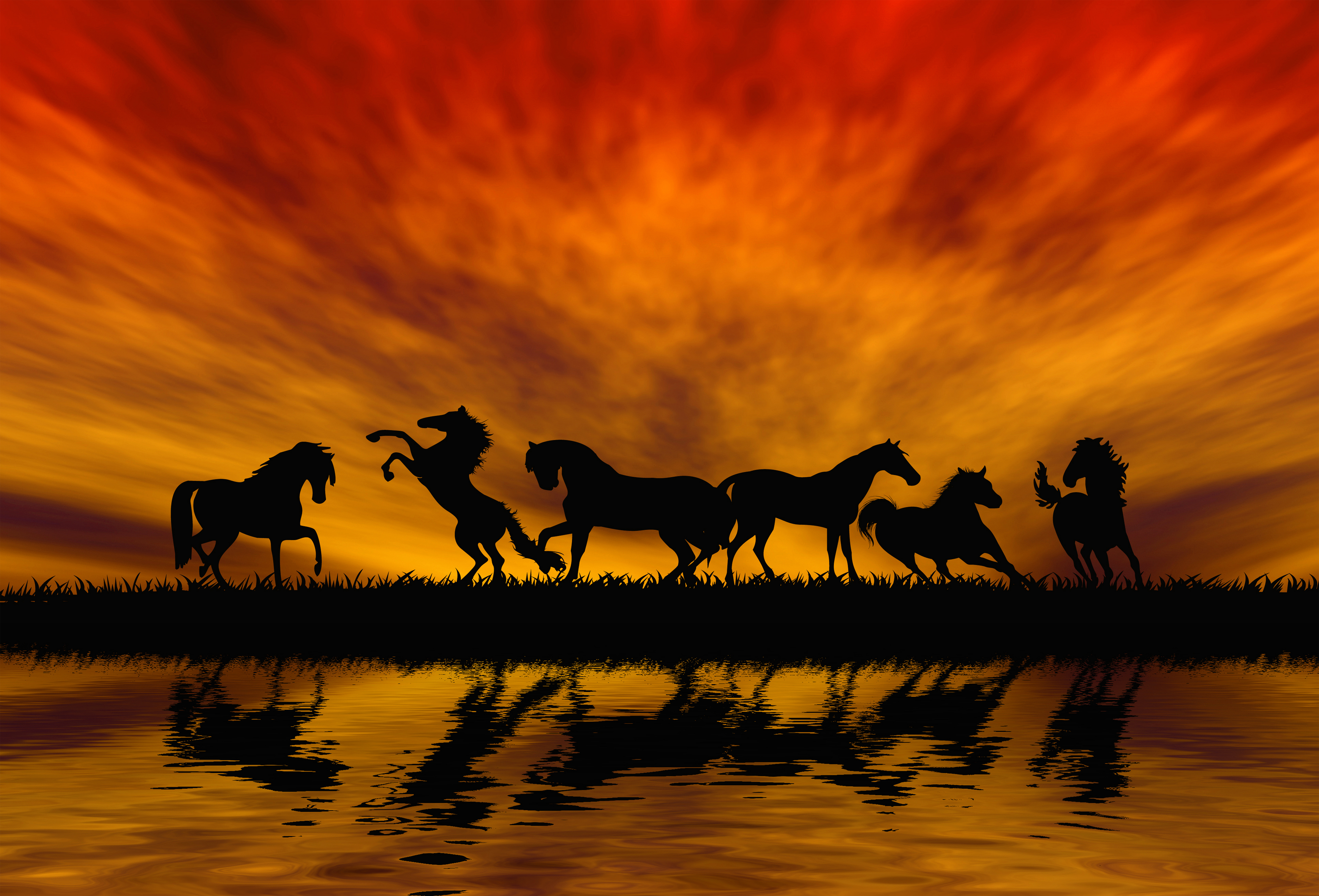 Horses Background Gallery Yopriceville High Quality Images