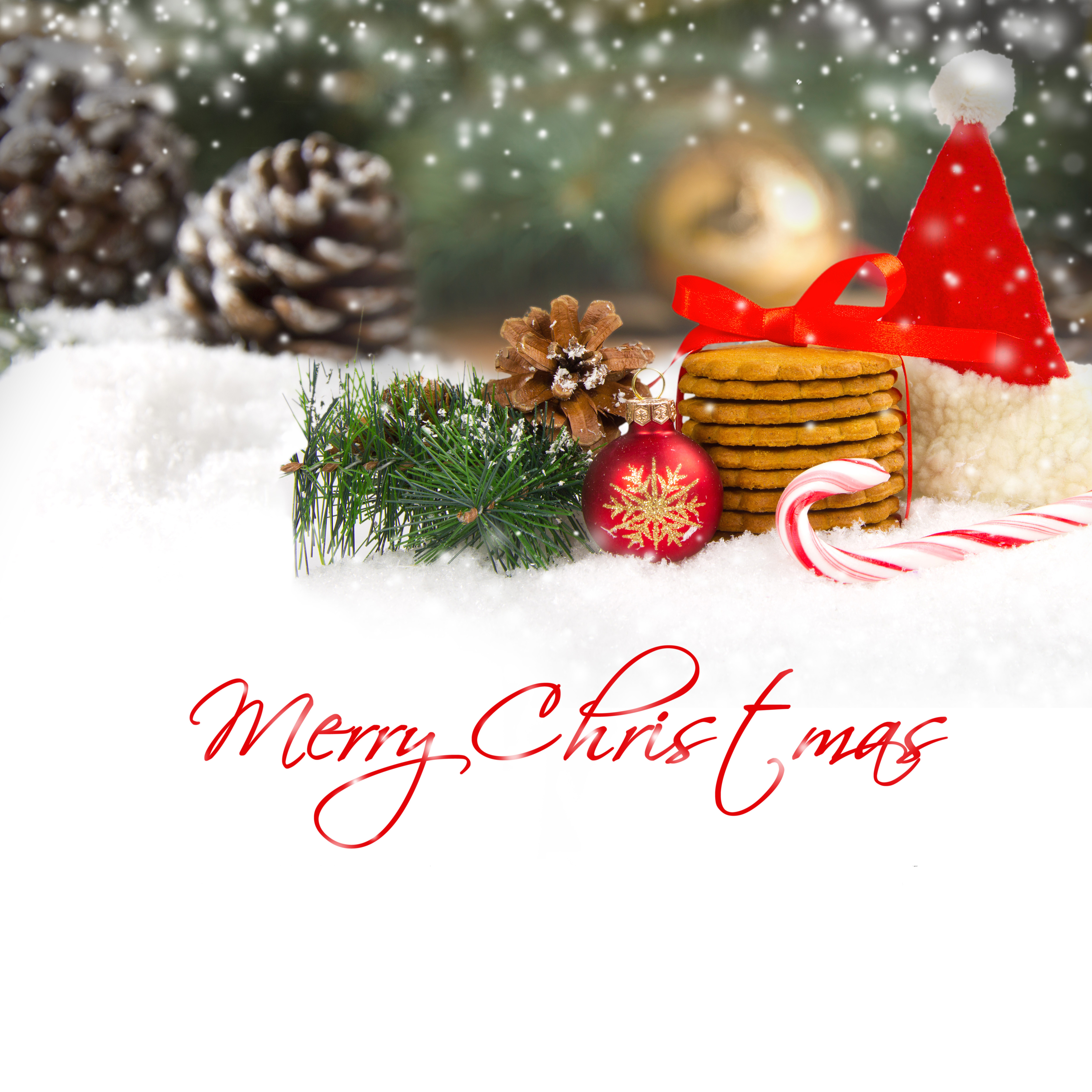 Merry Christmas Background with Pine Cones​ | Gallery Yopriceville -  High-Quality Free Images and Transparent PNG Clipart