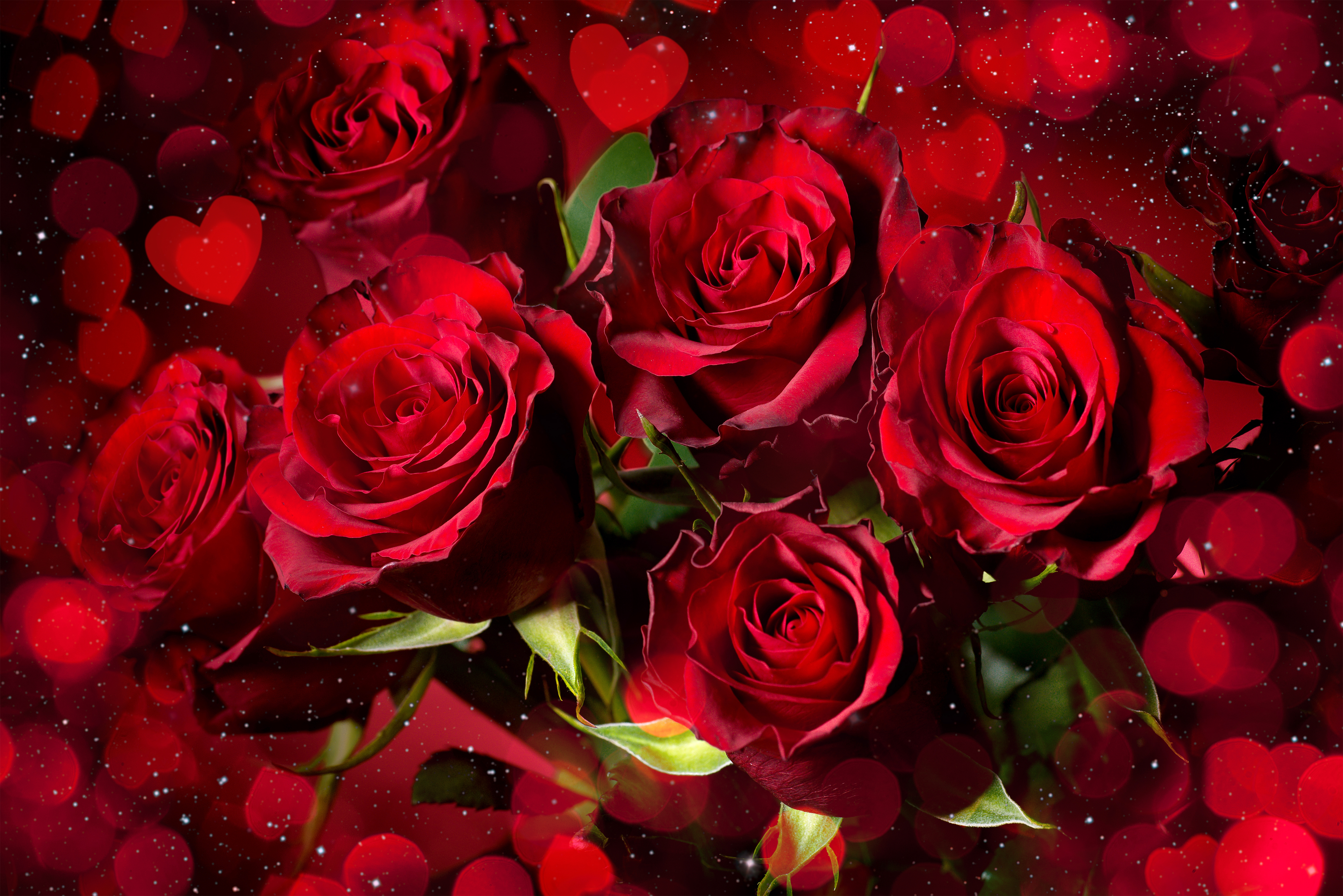 Romantic Red Roses Background With Roses Gallery Yopriceville High Quality Images And Transparent Png Free Clipart