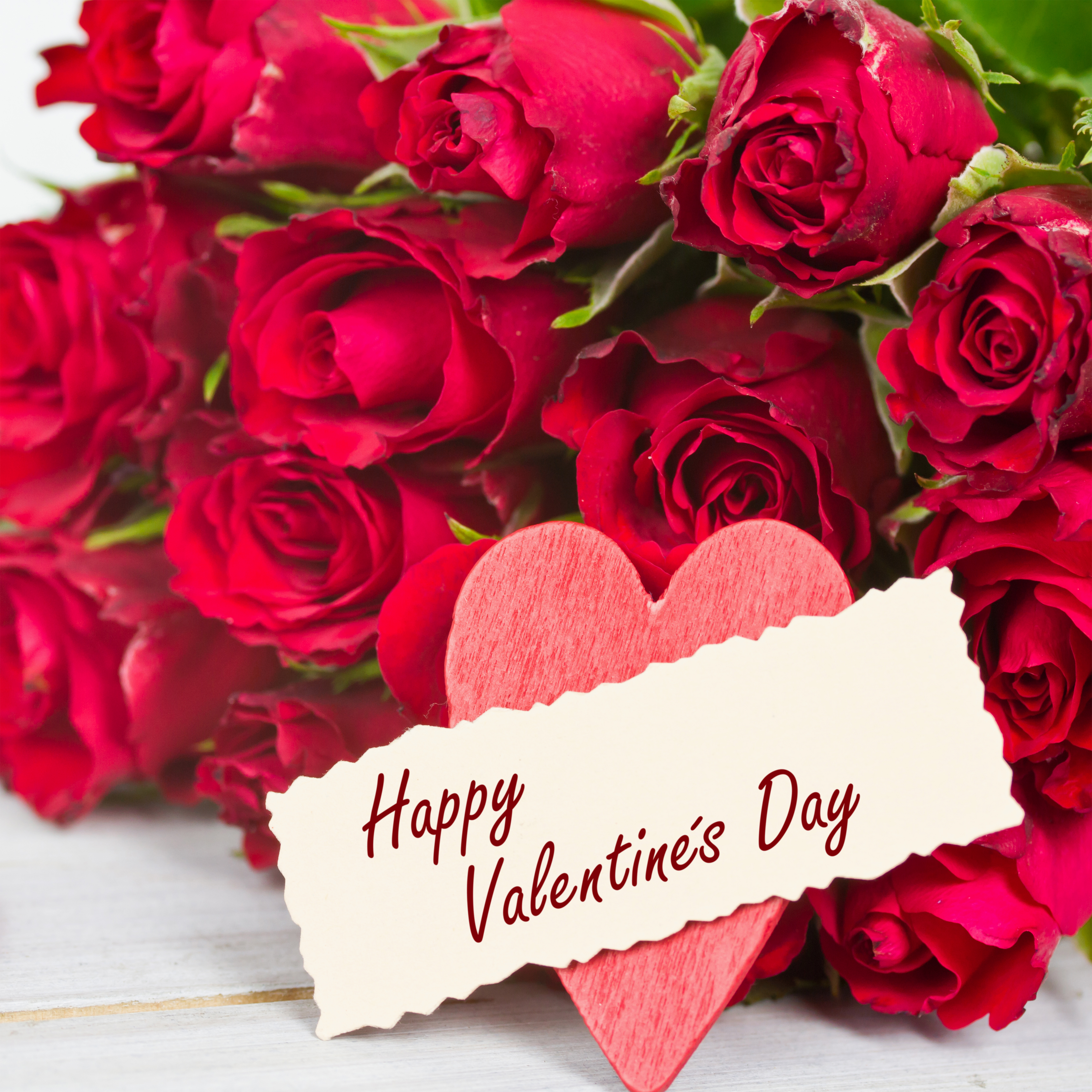 Roses Happy Valentine S Day Background Gallery Yopriceville High Quality Images And Transparent Png Free Clipart